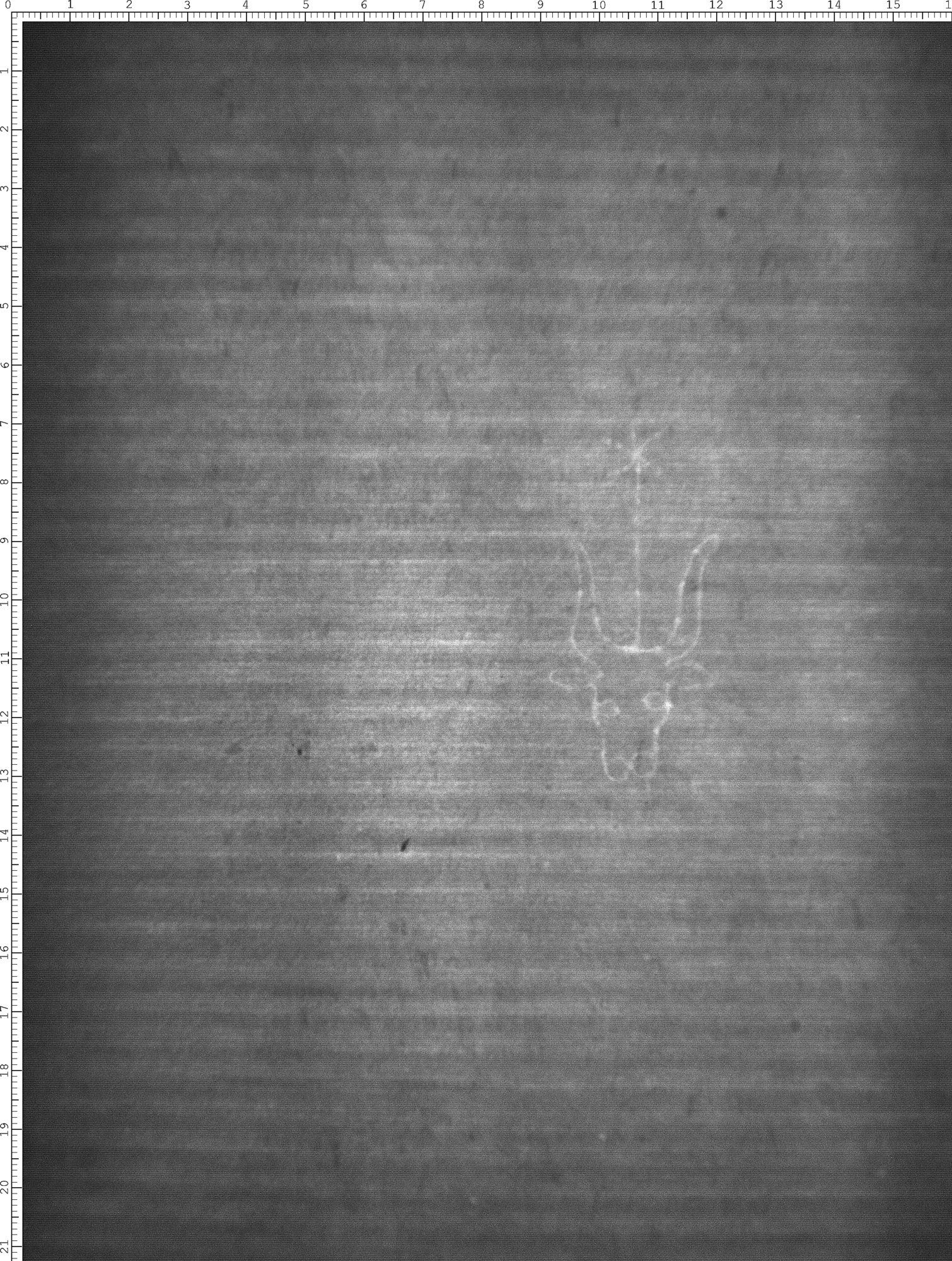 Watermark