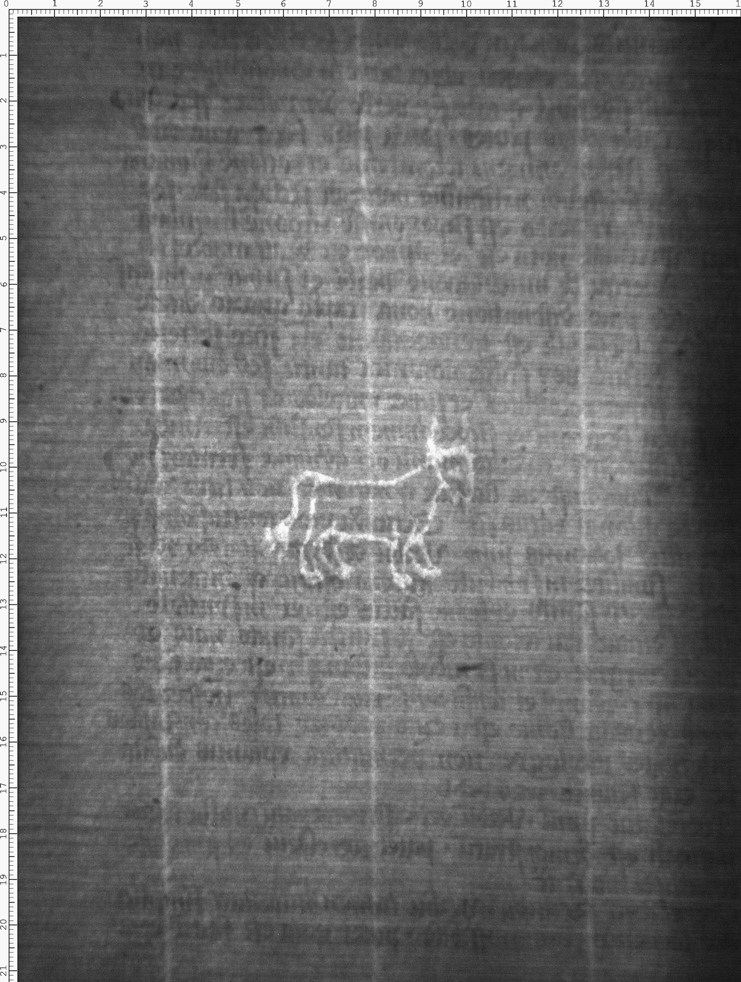 Watermark