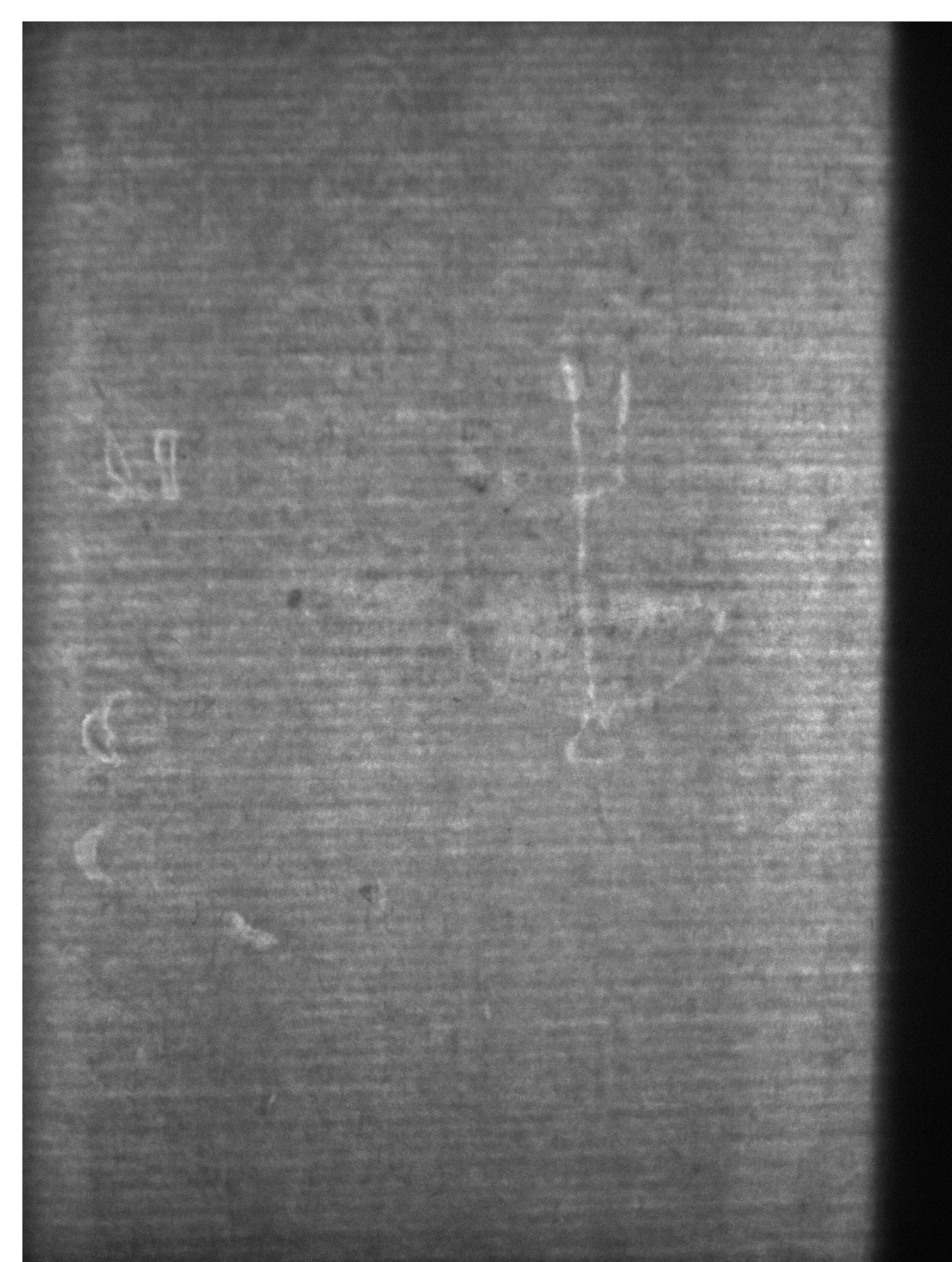 Watermark