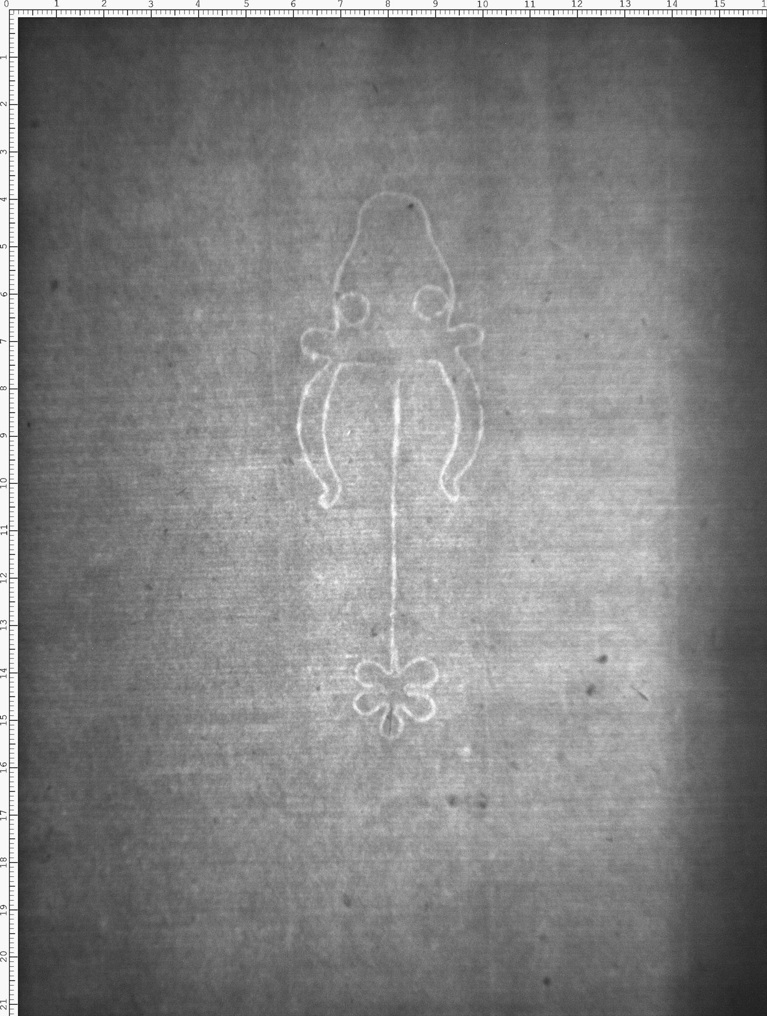 Watermark