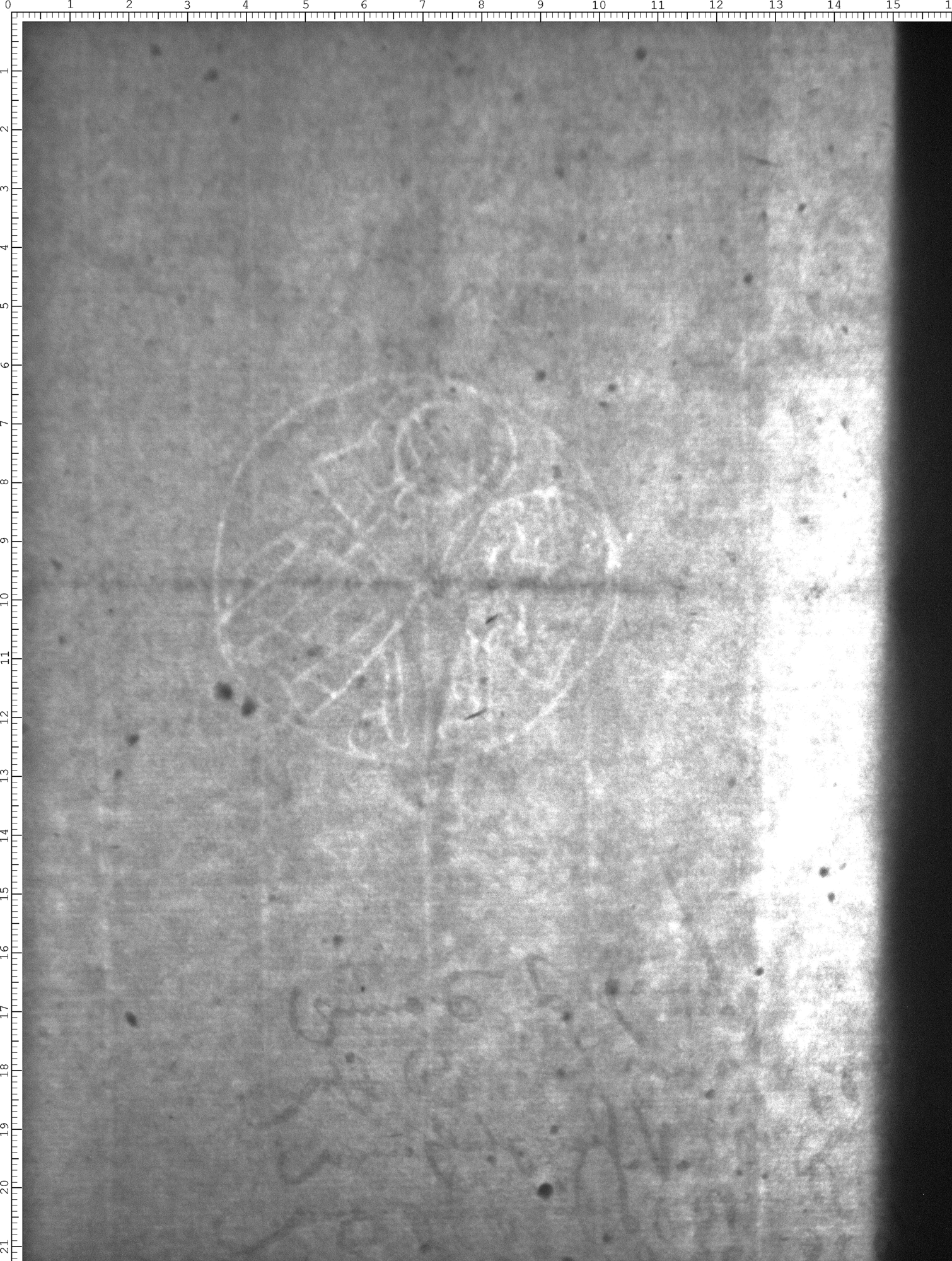 Watermark