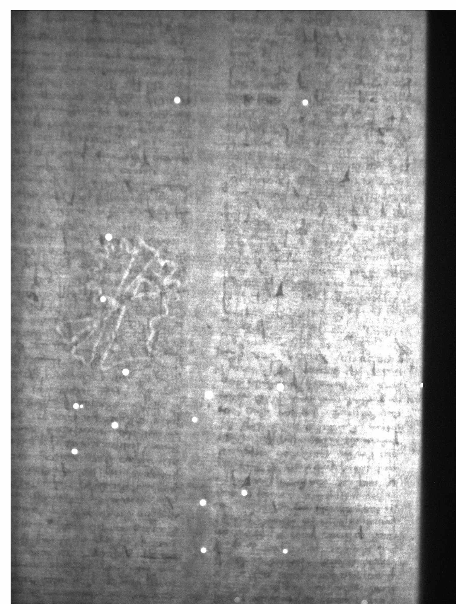 Watermark