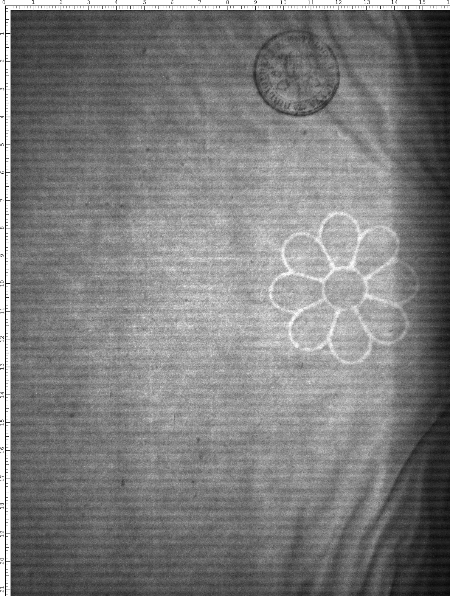 Watermark