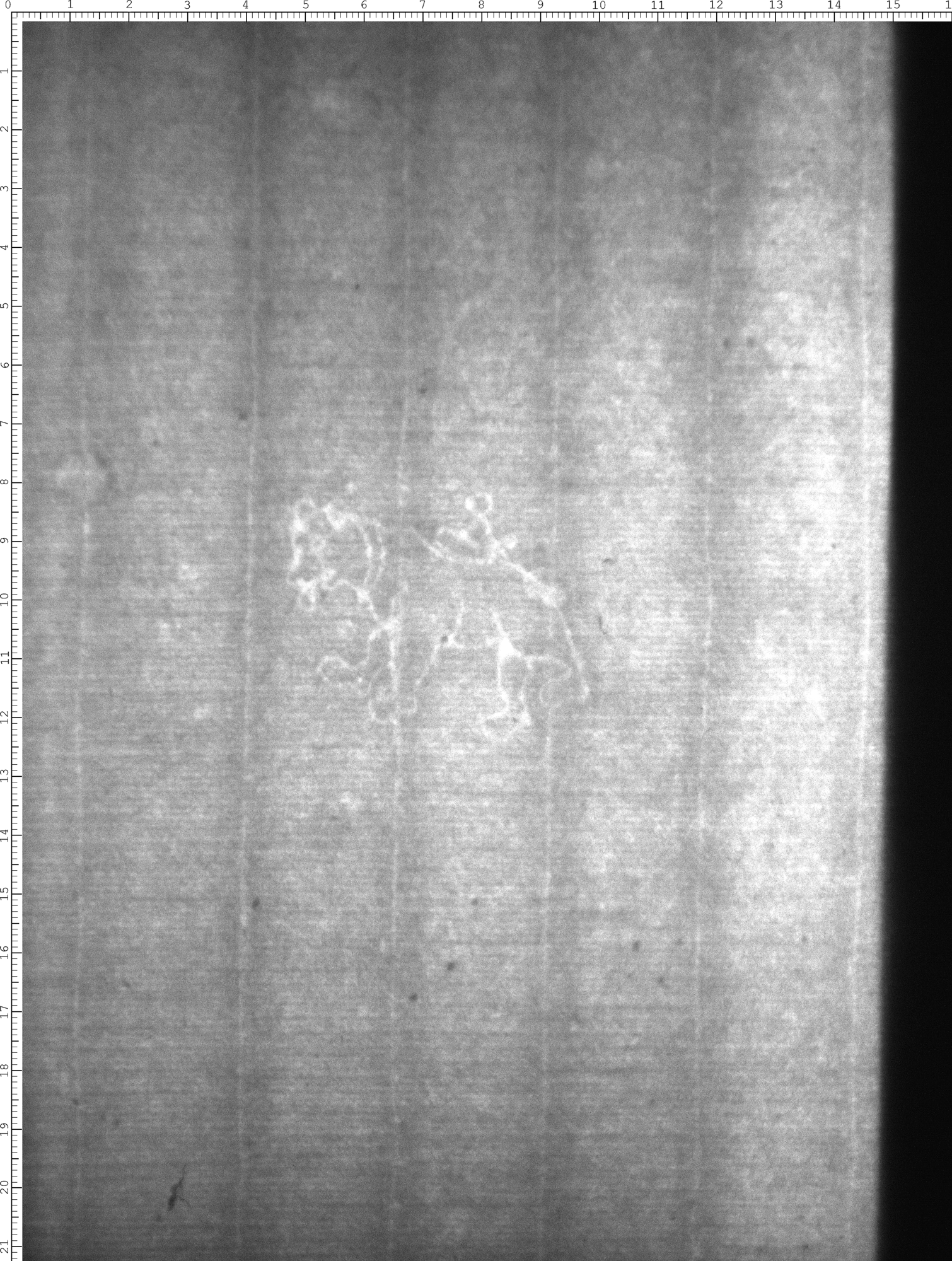 Watermark