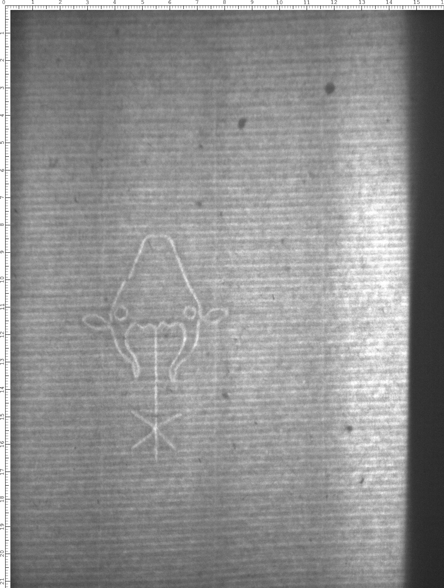 Watermark