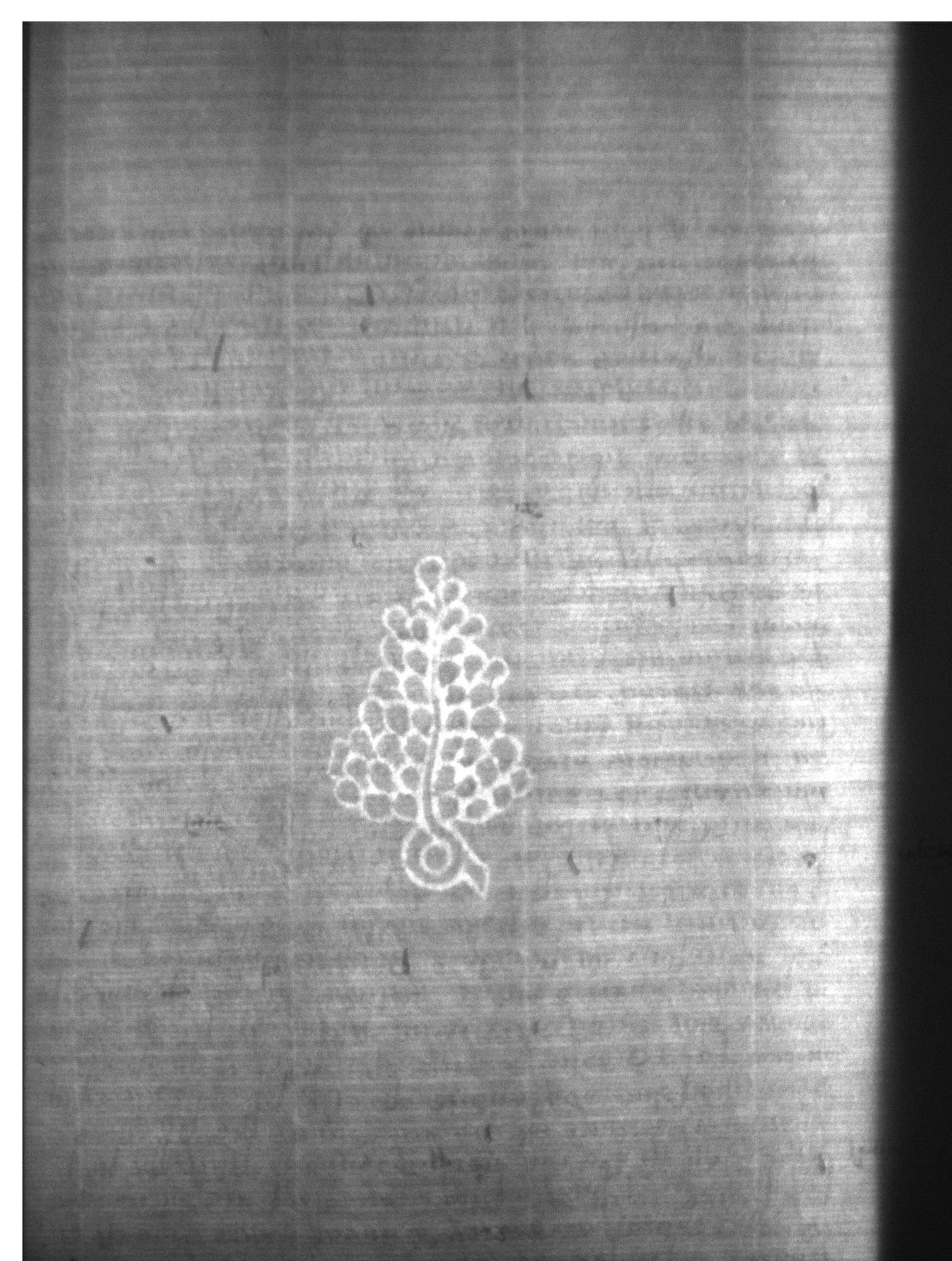 Watermark