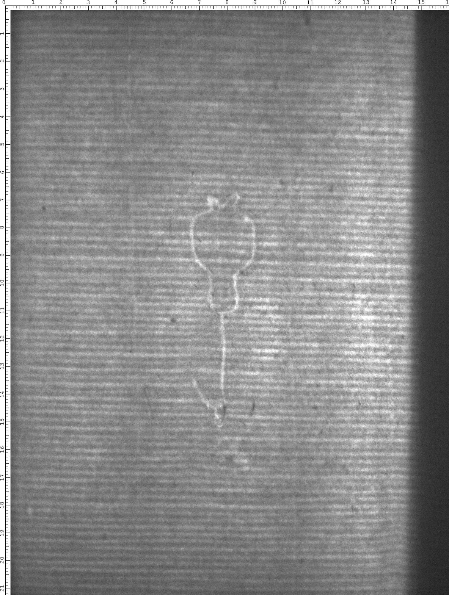Watermark