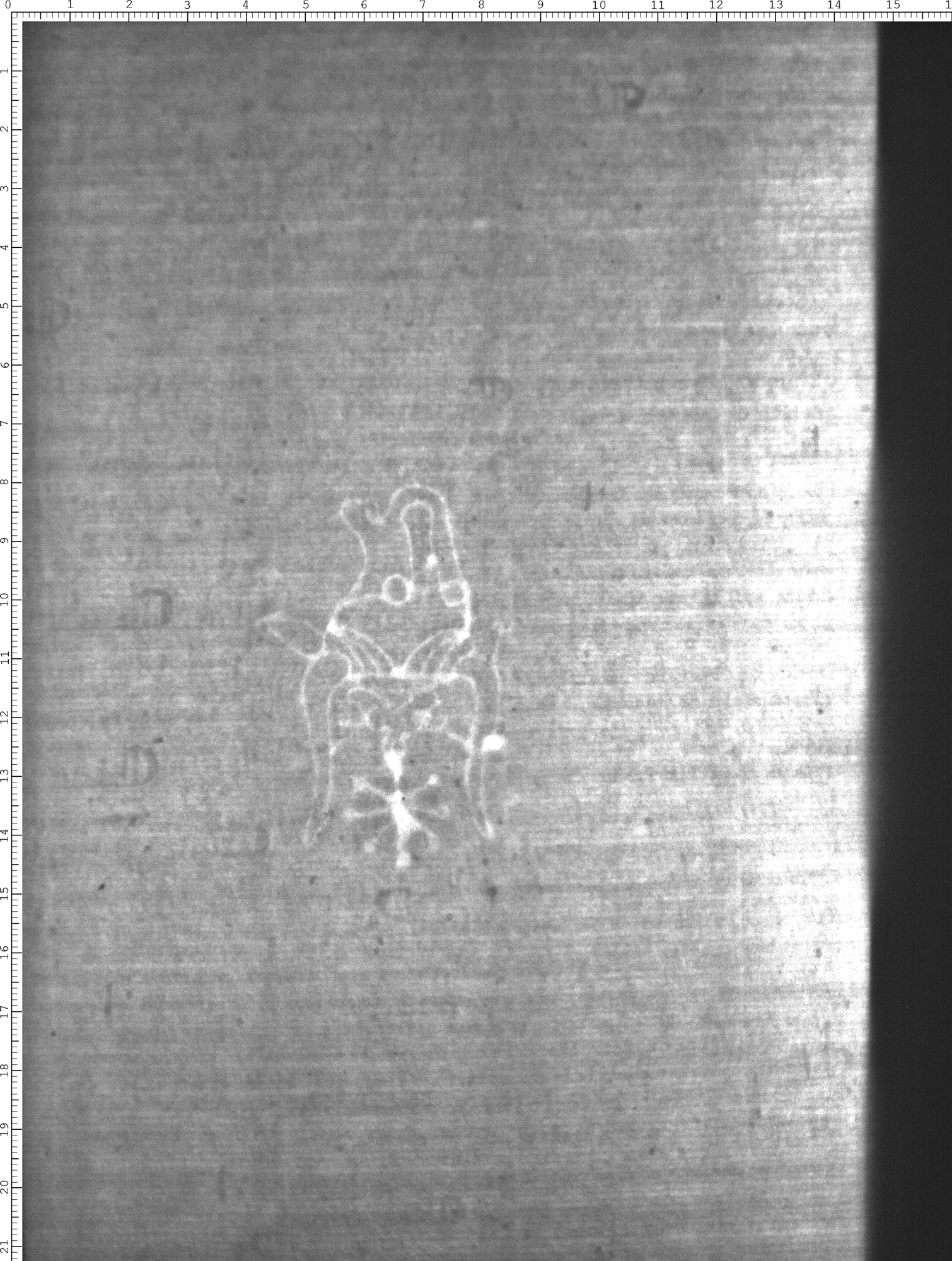 Watermark