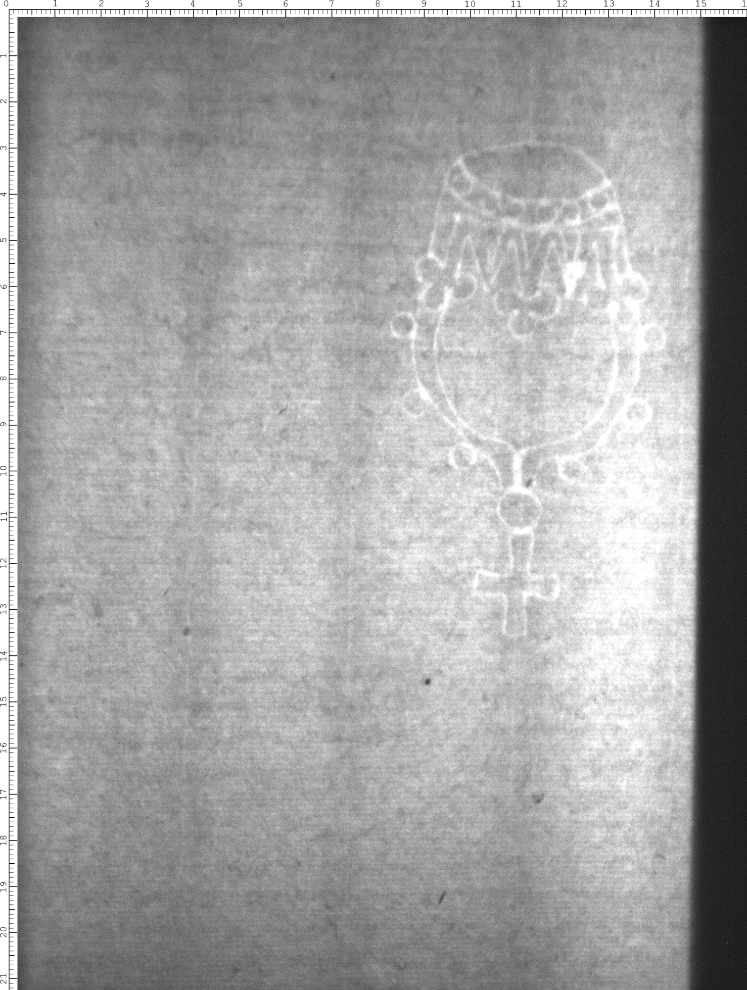 Watermark