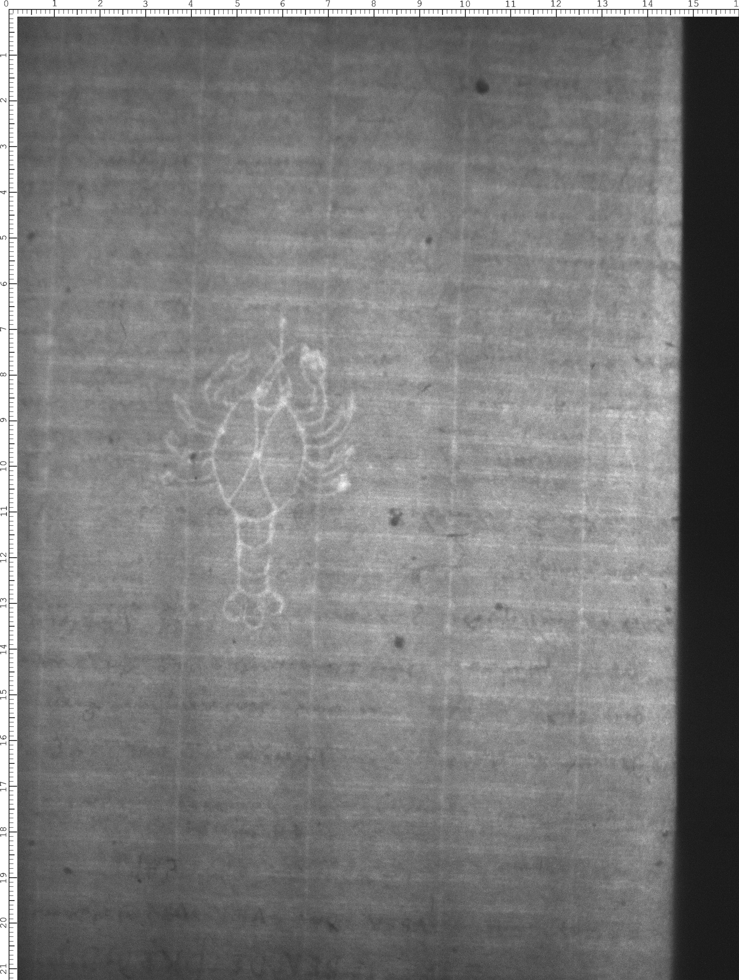 Watermark