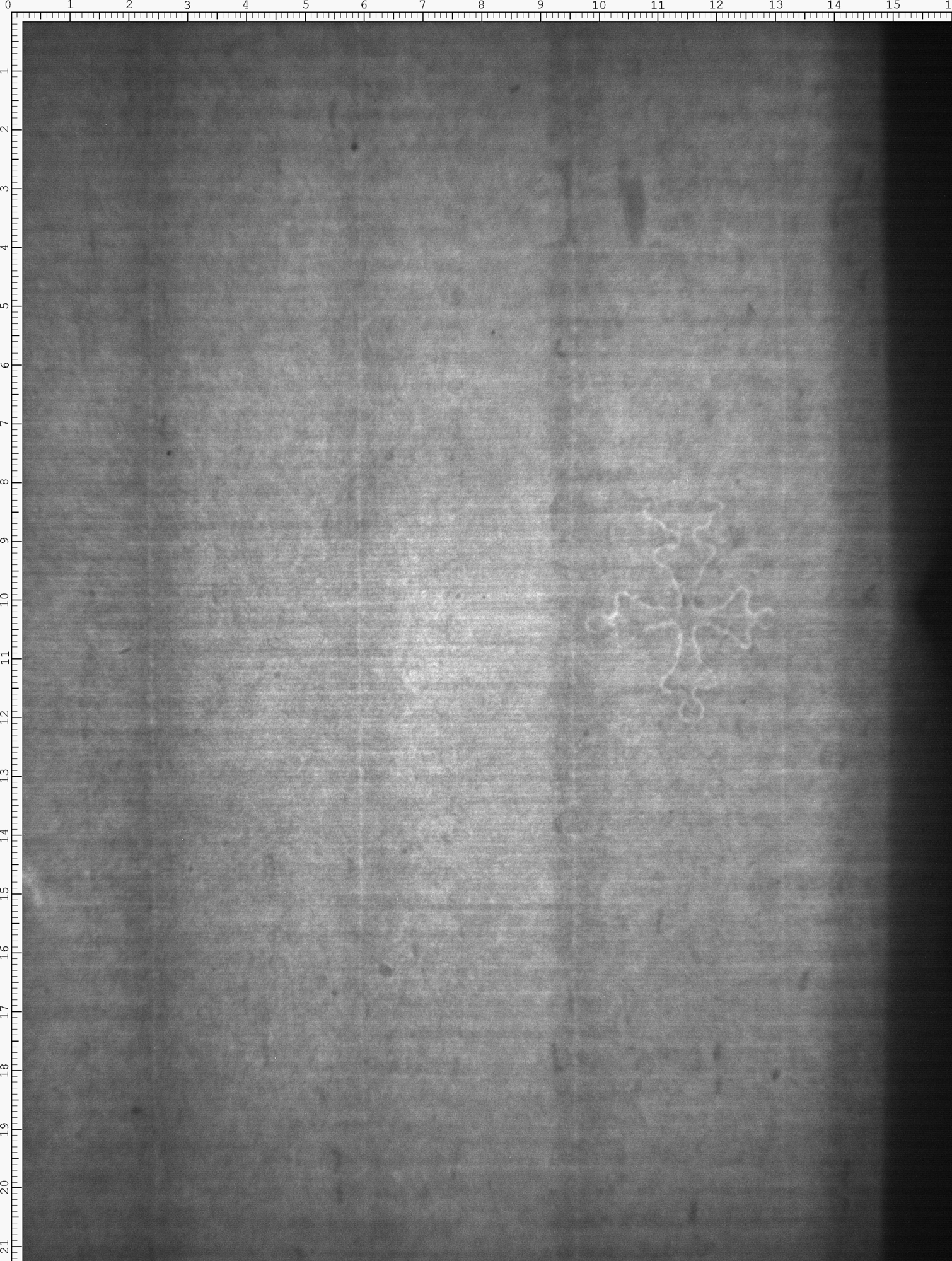 Watermark