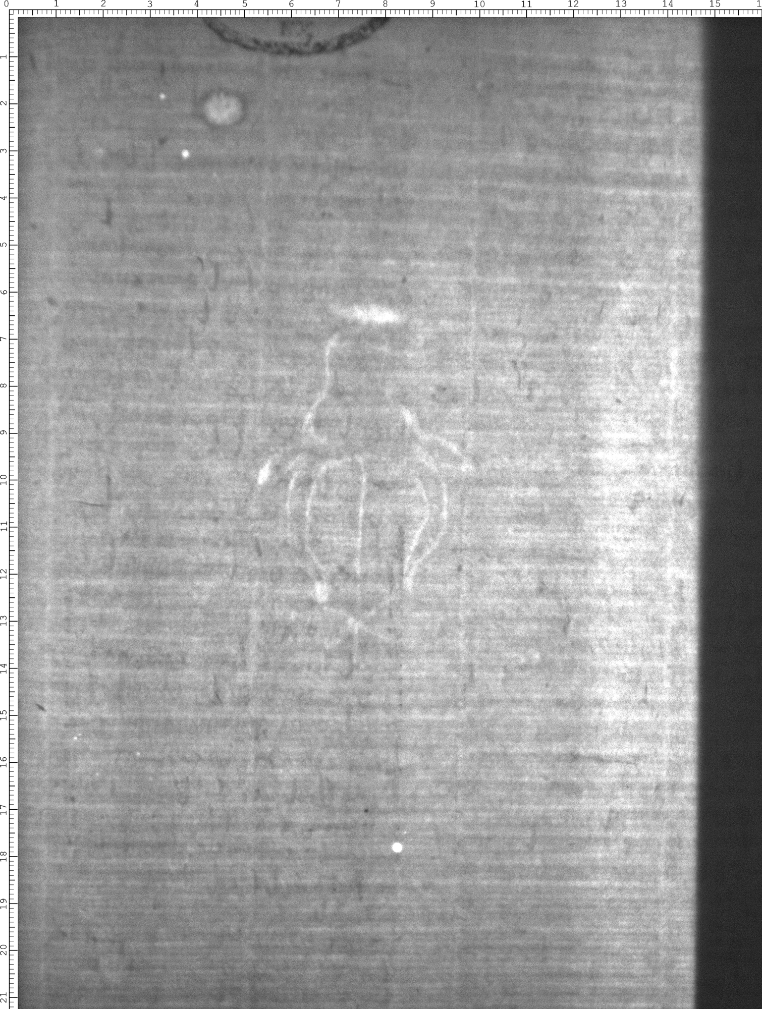 Watermark