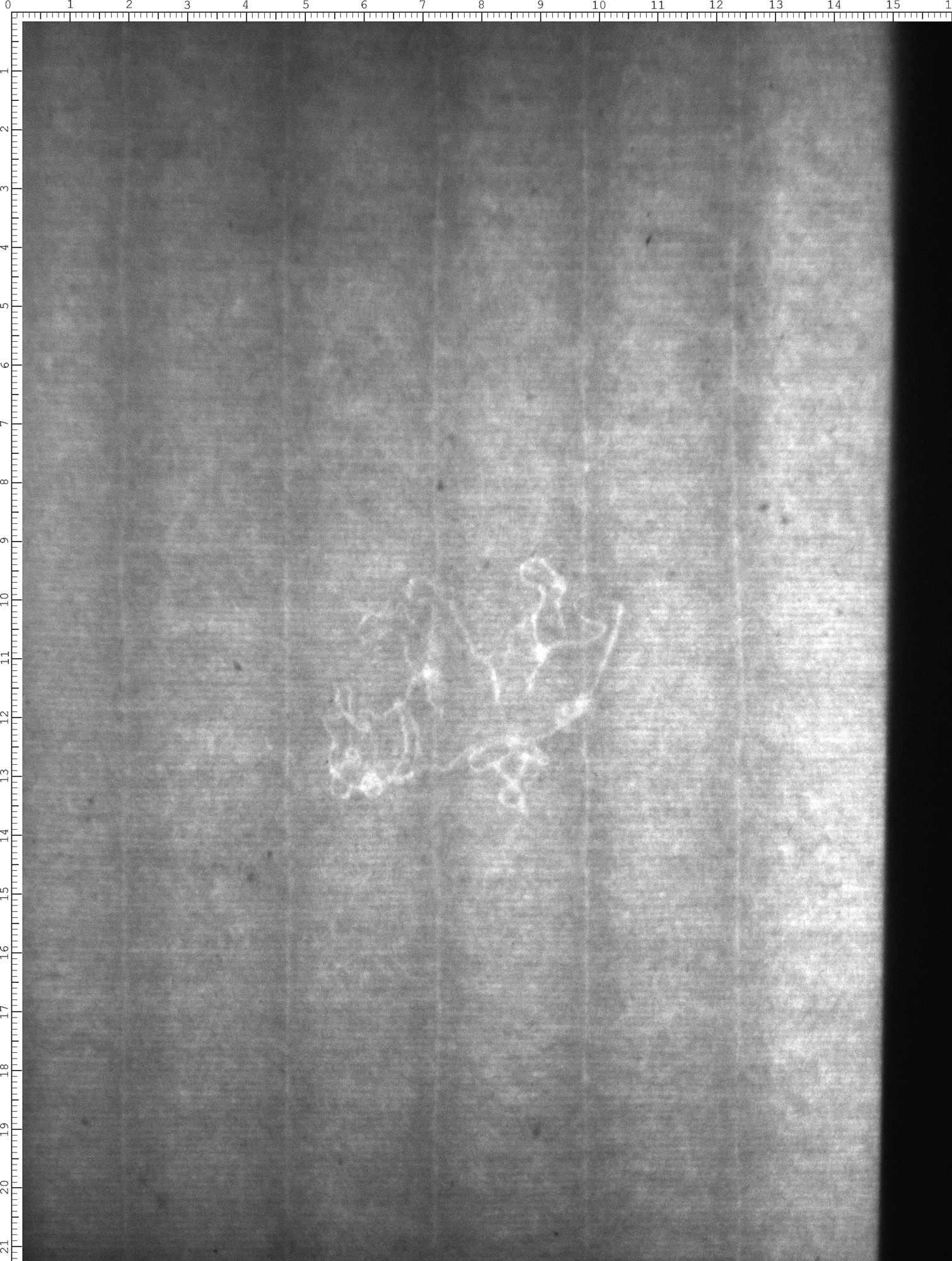 Watermark