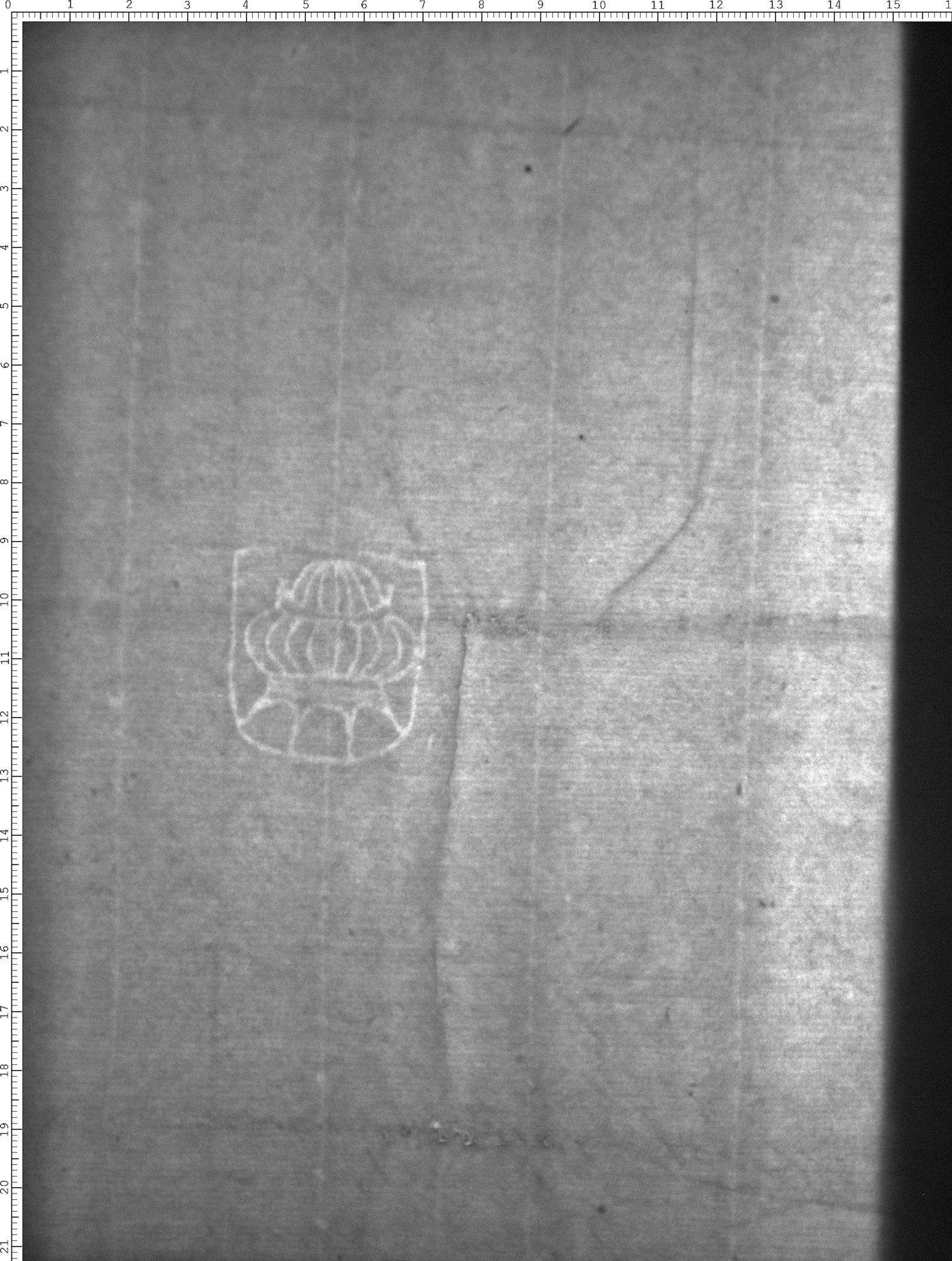 Watermark