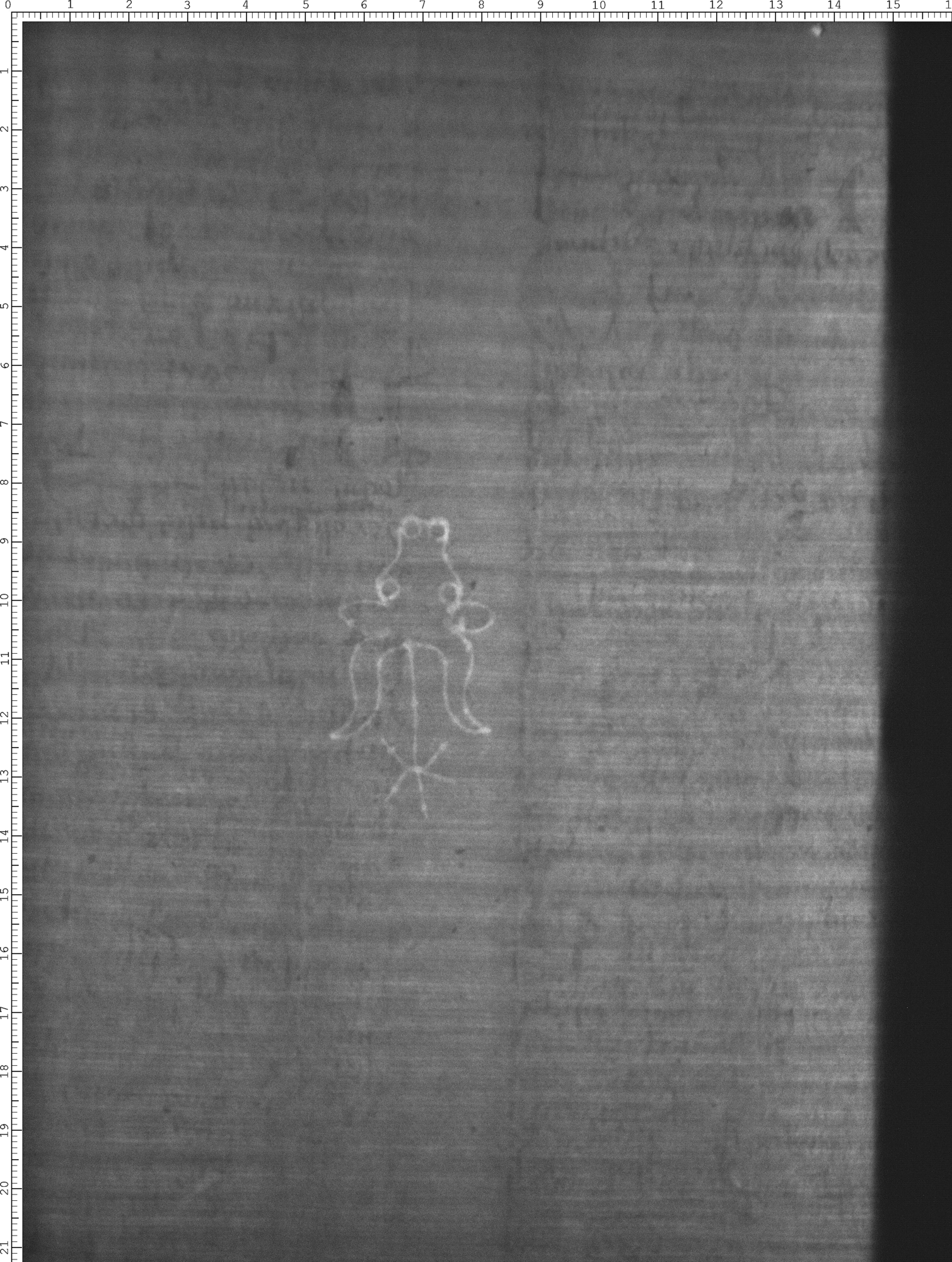 Watermark