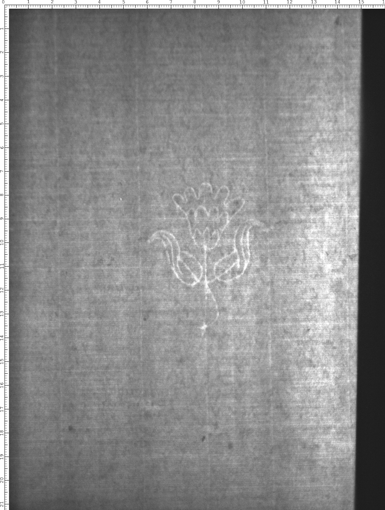 Watermark