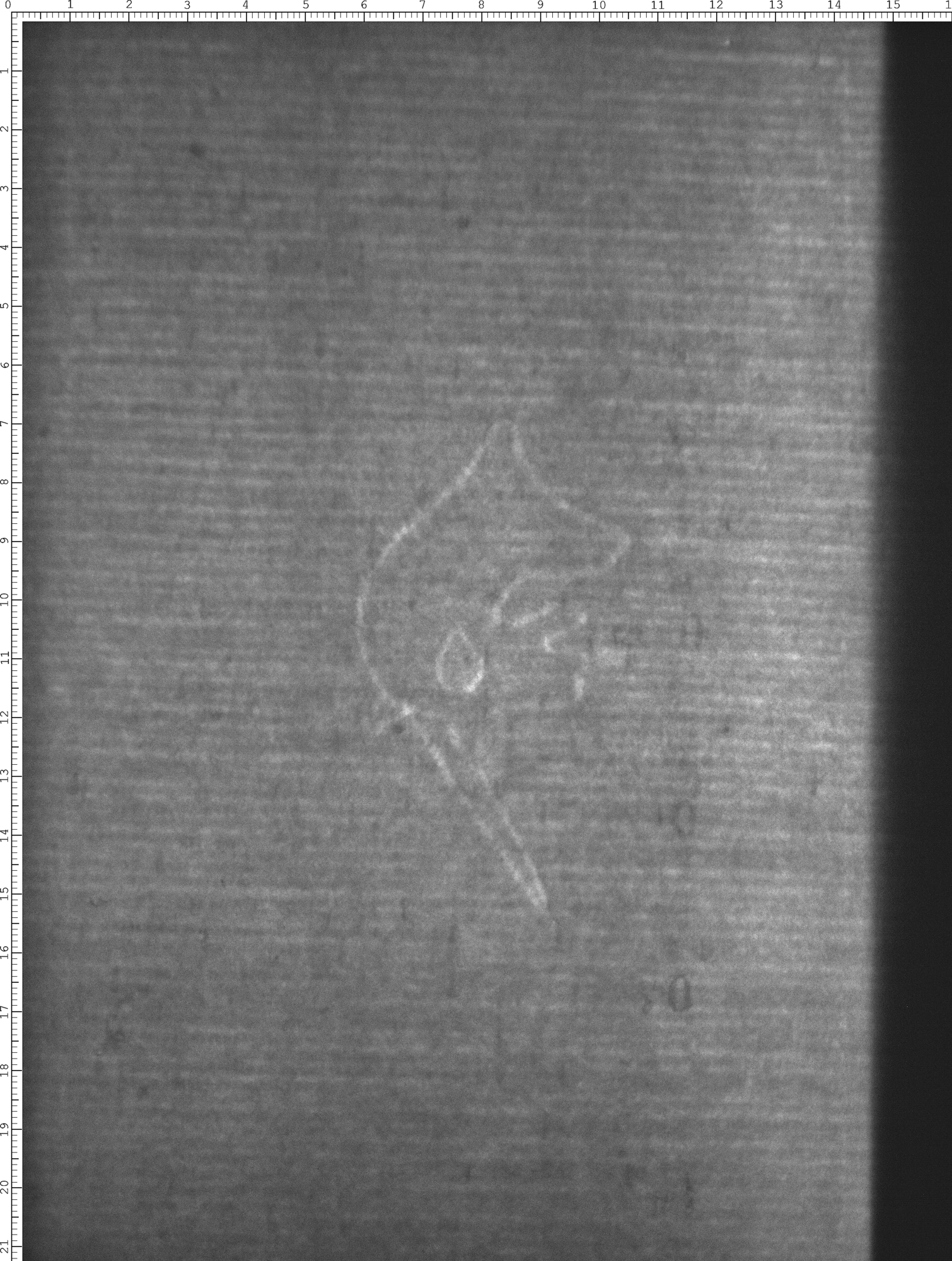Watermark