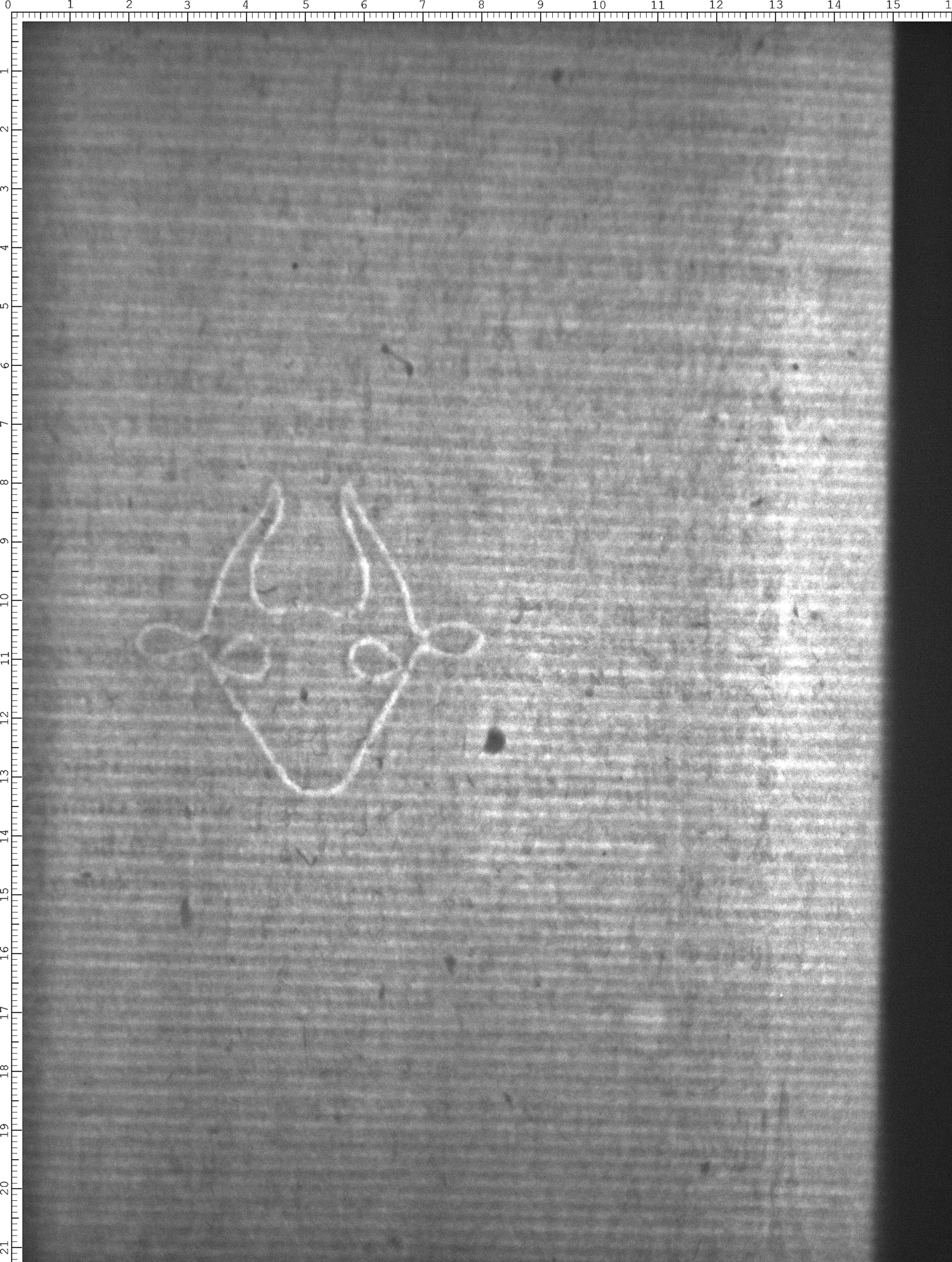 Watermark