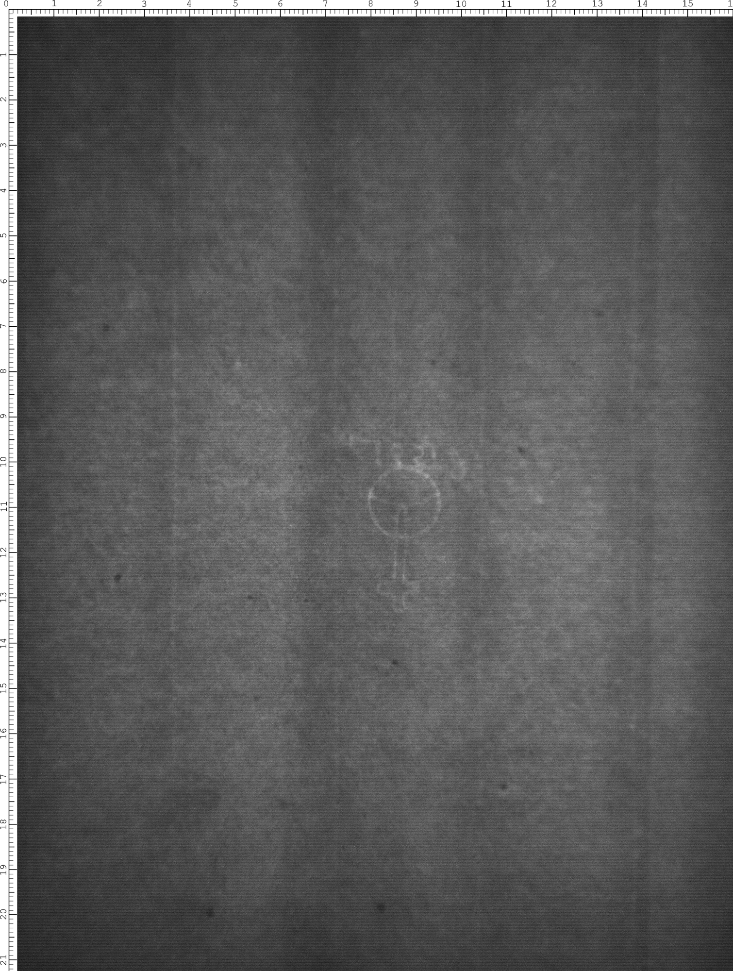 Watermark