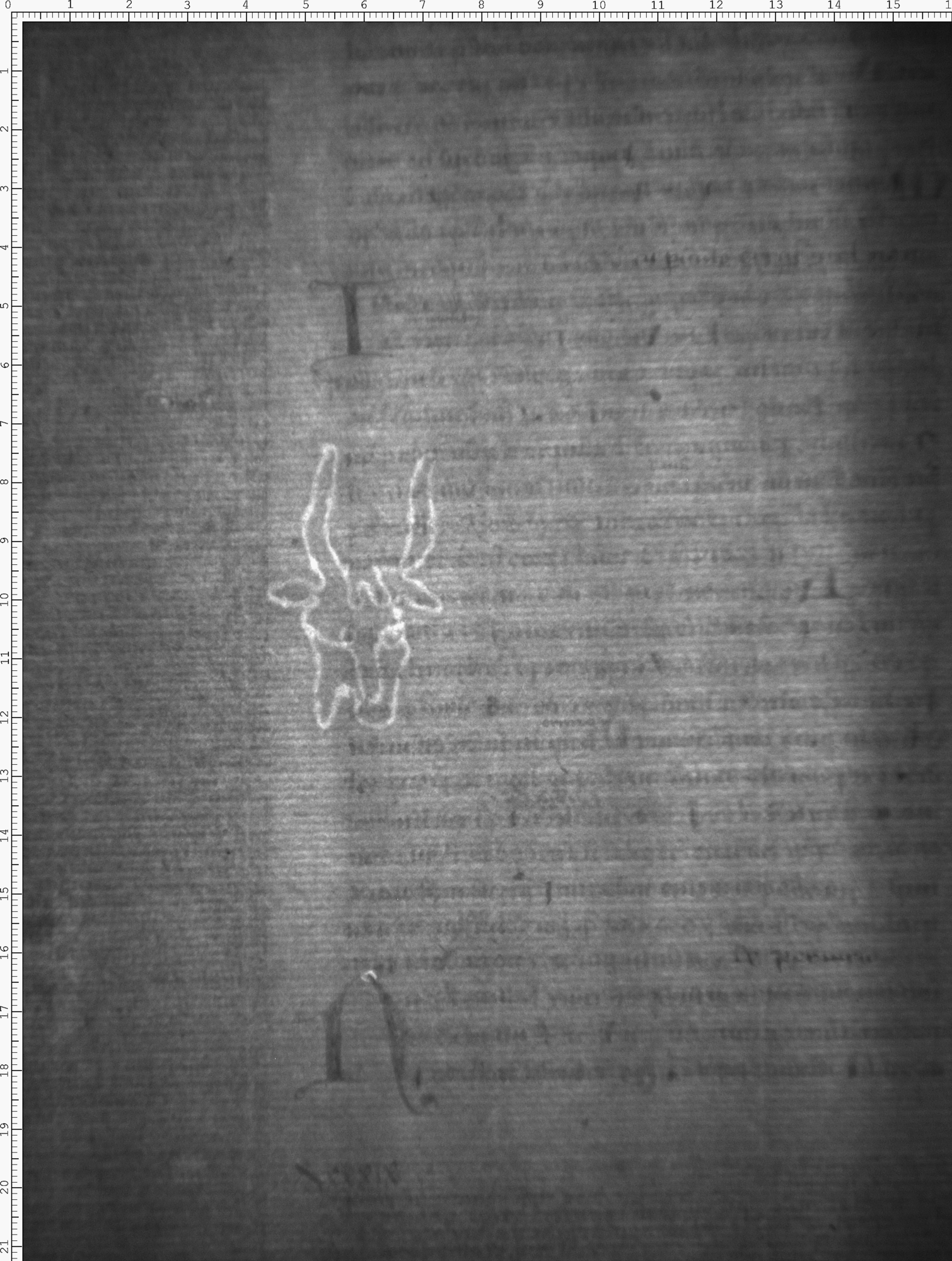 Watermark