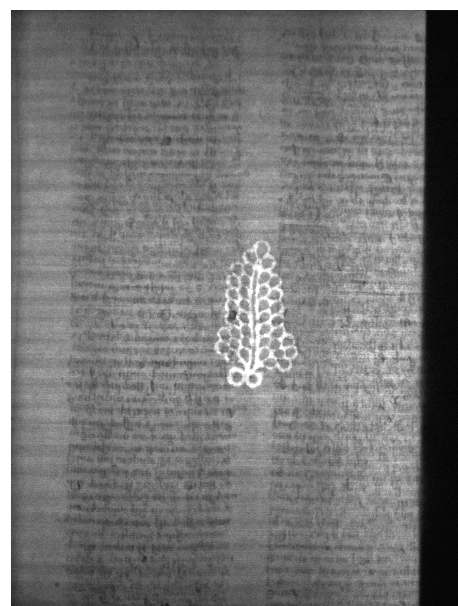 Watermark