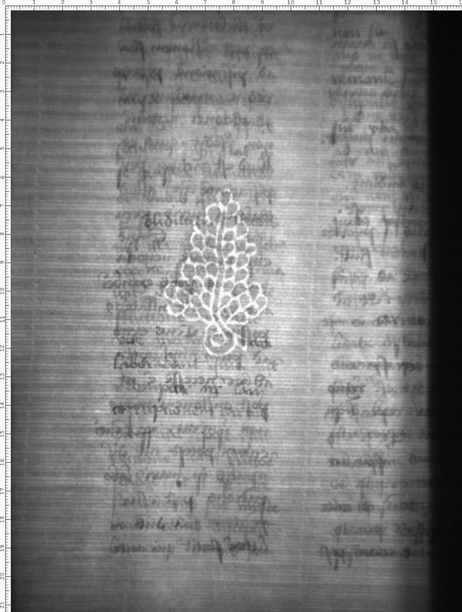 Watermark