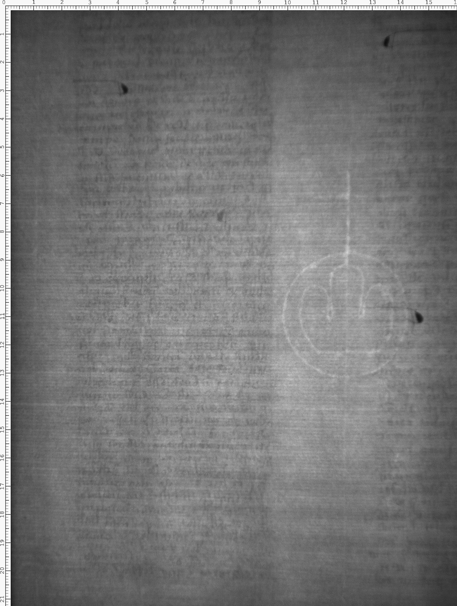 Watermark