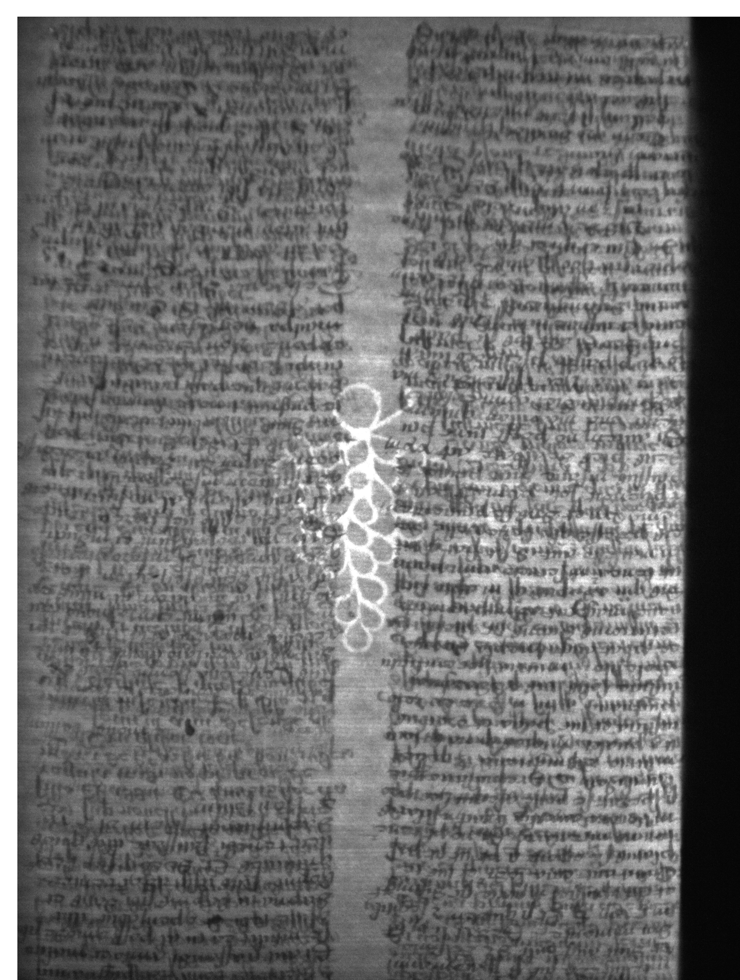 Watermark
