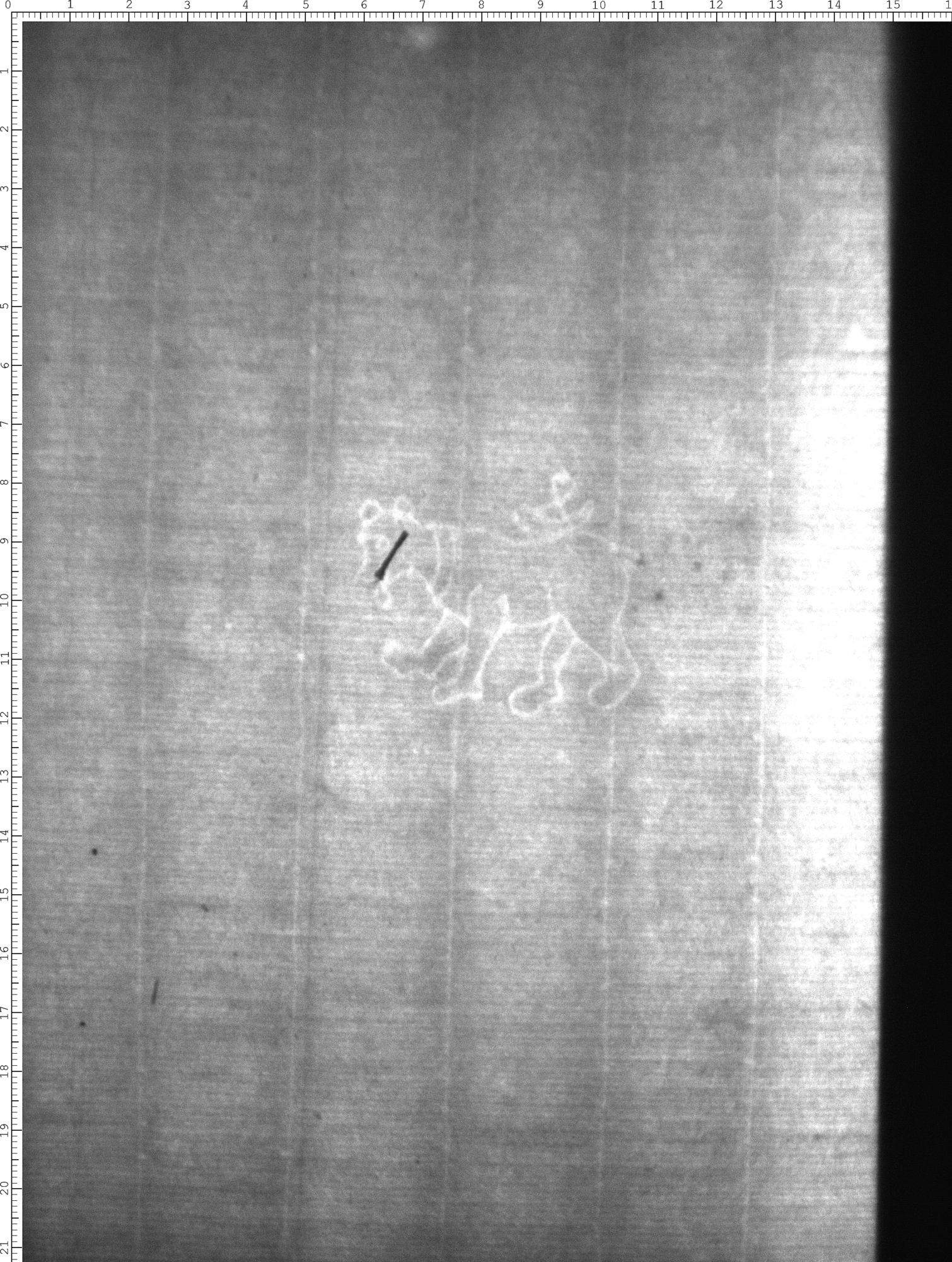 Watermark