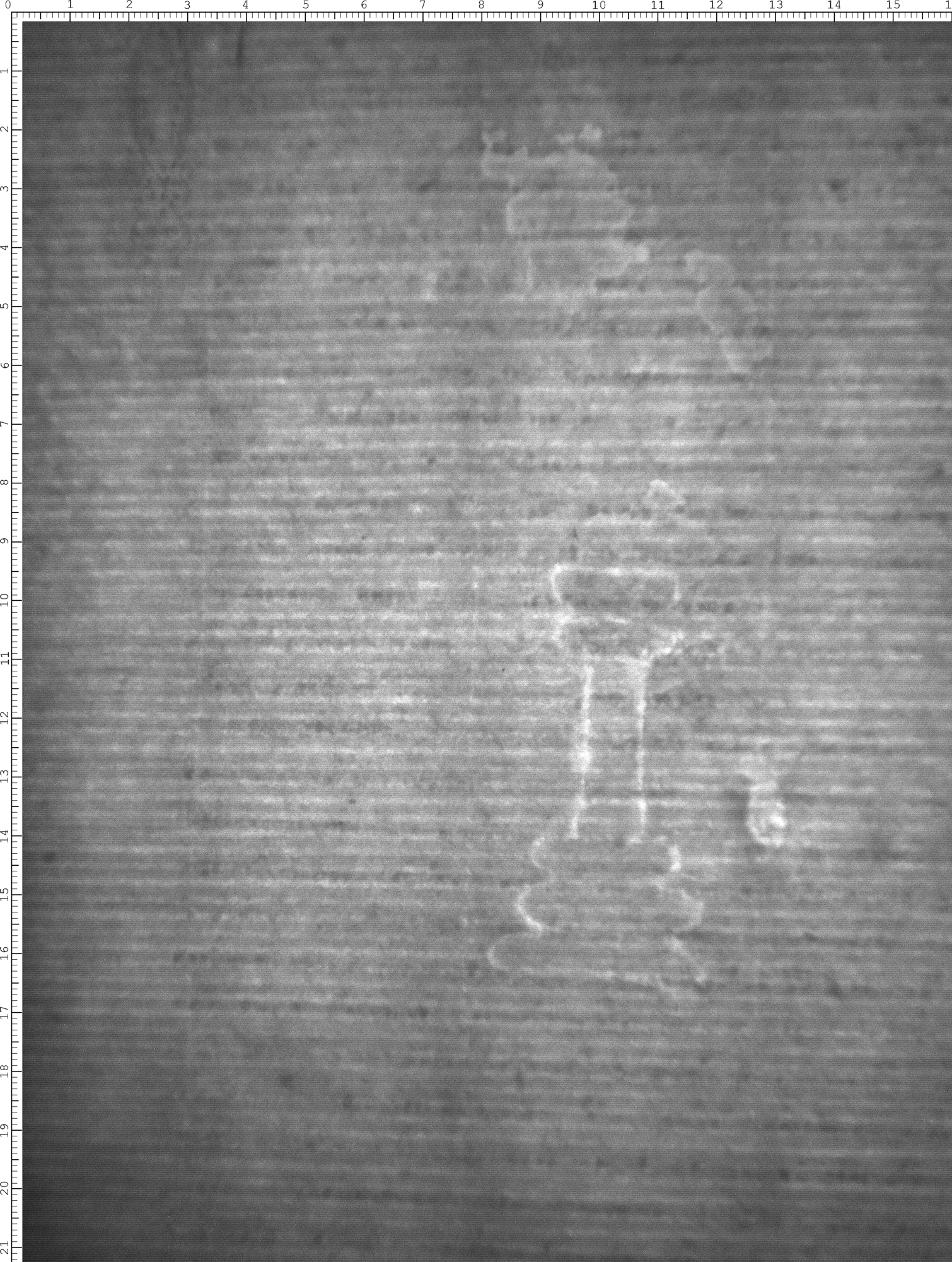 Watermark