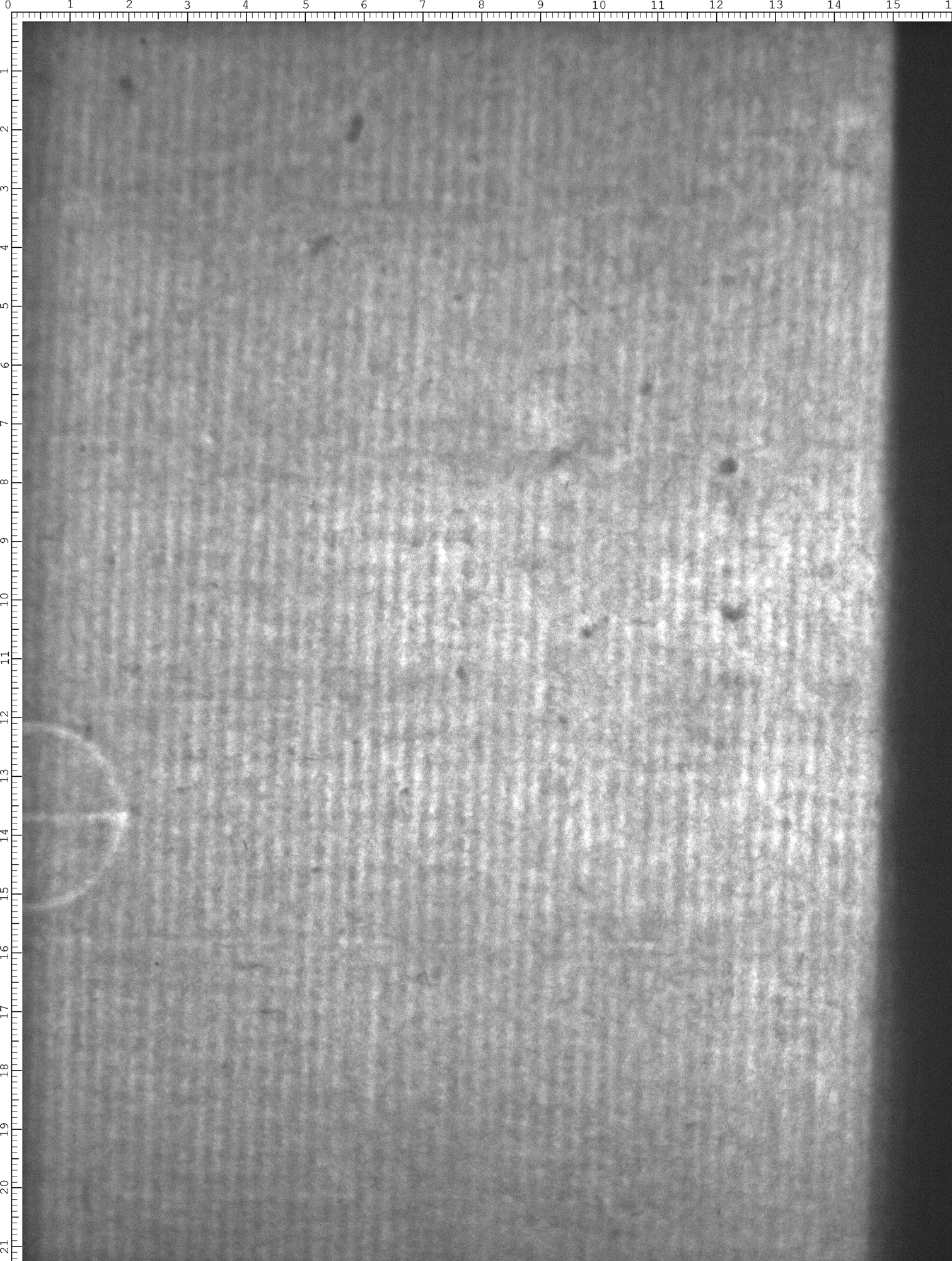 Watermark