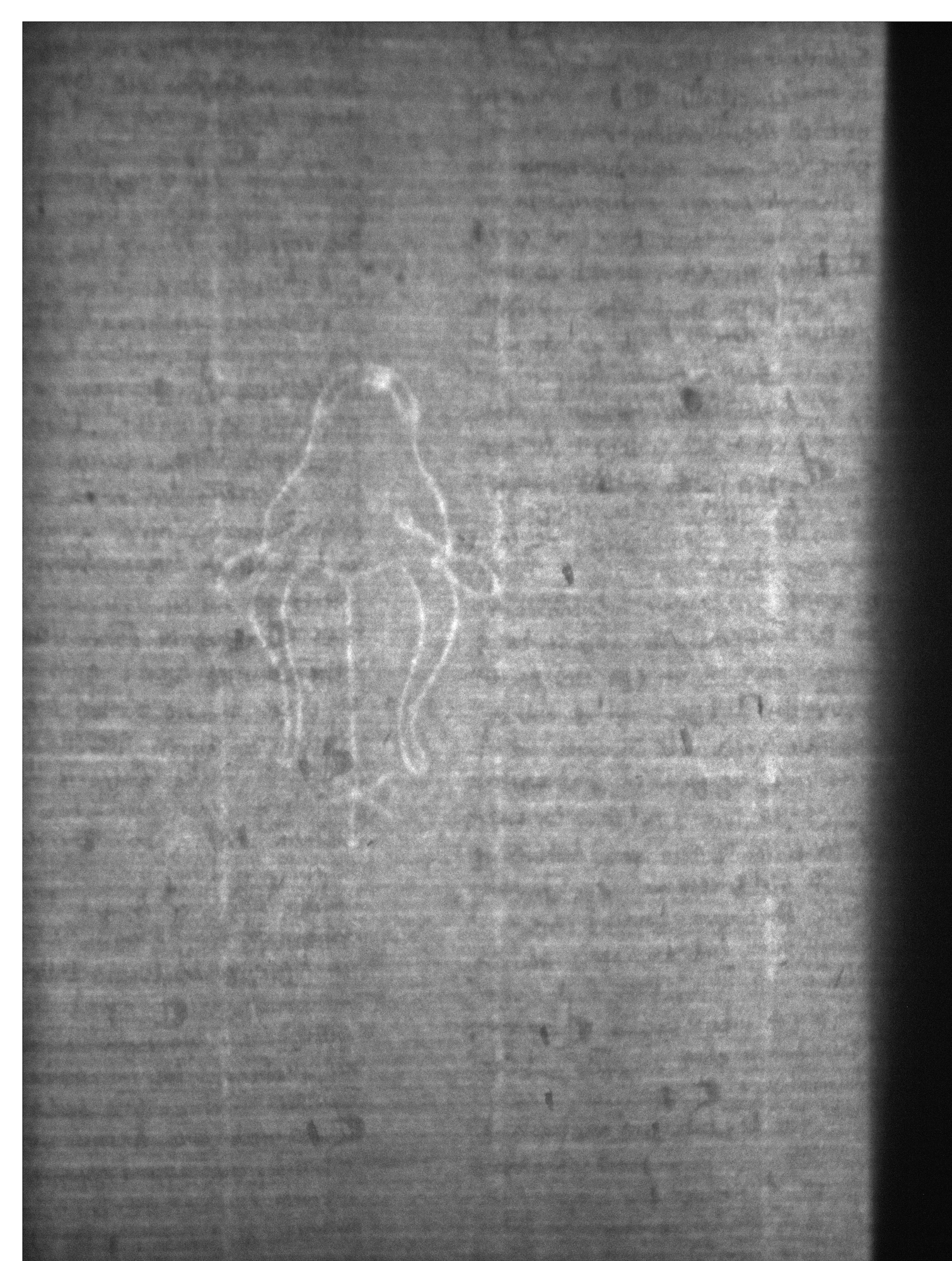 Watermark