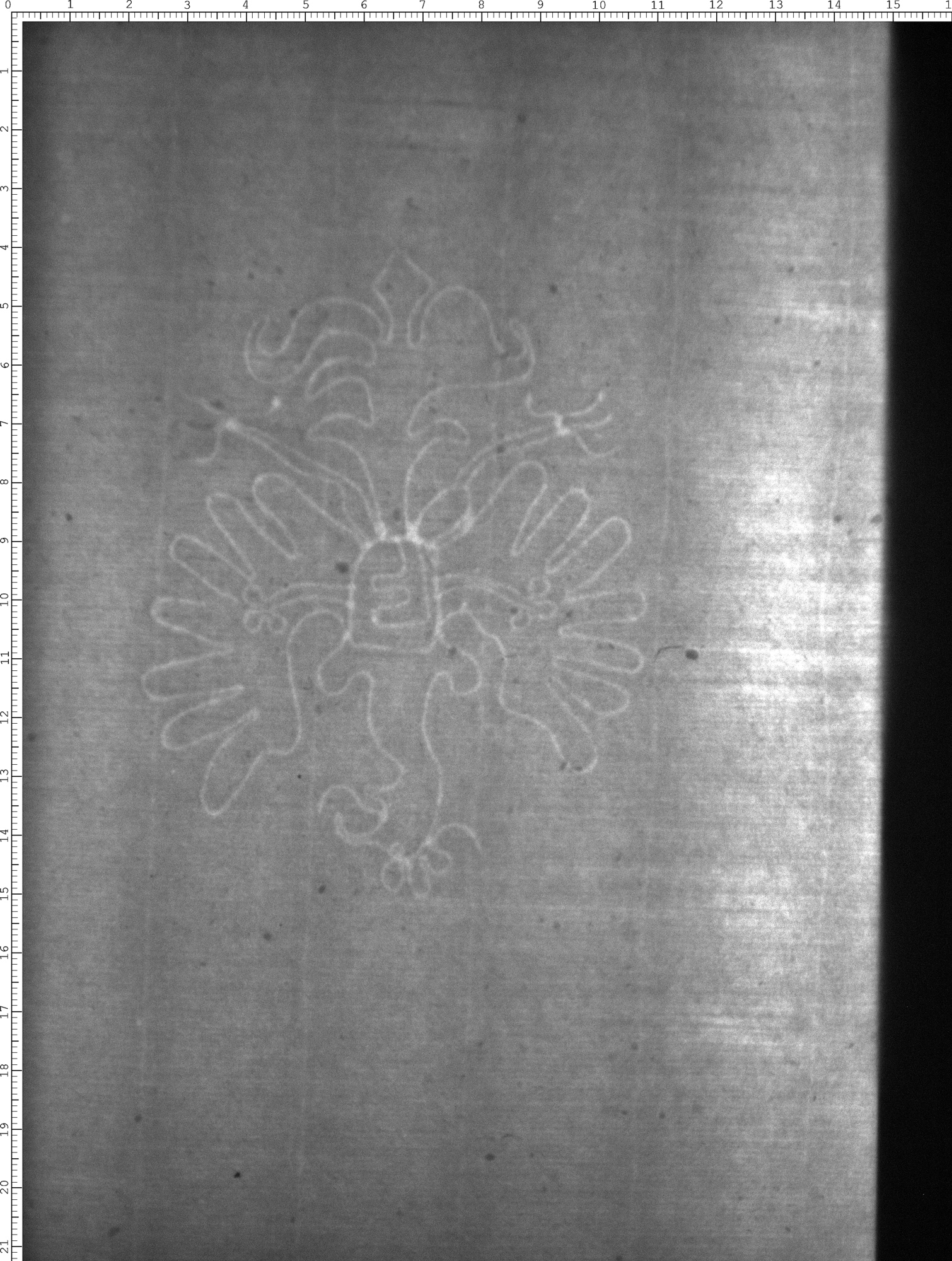 Watermark