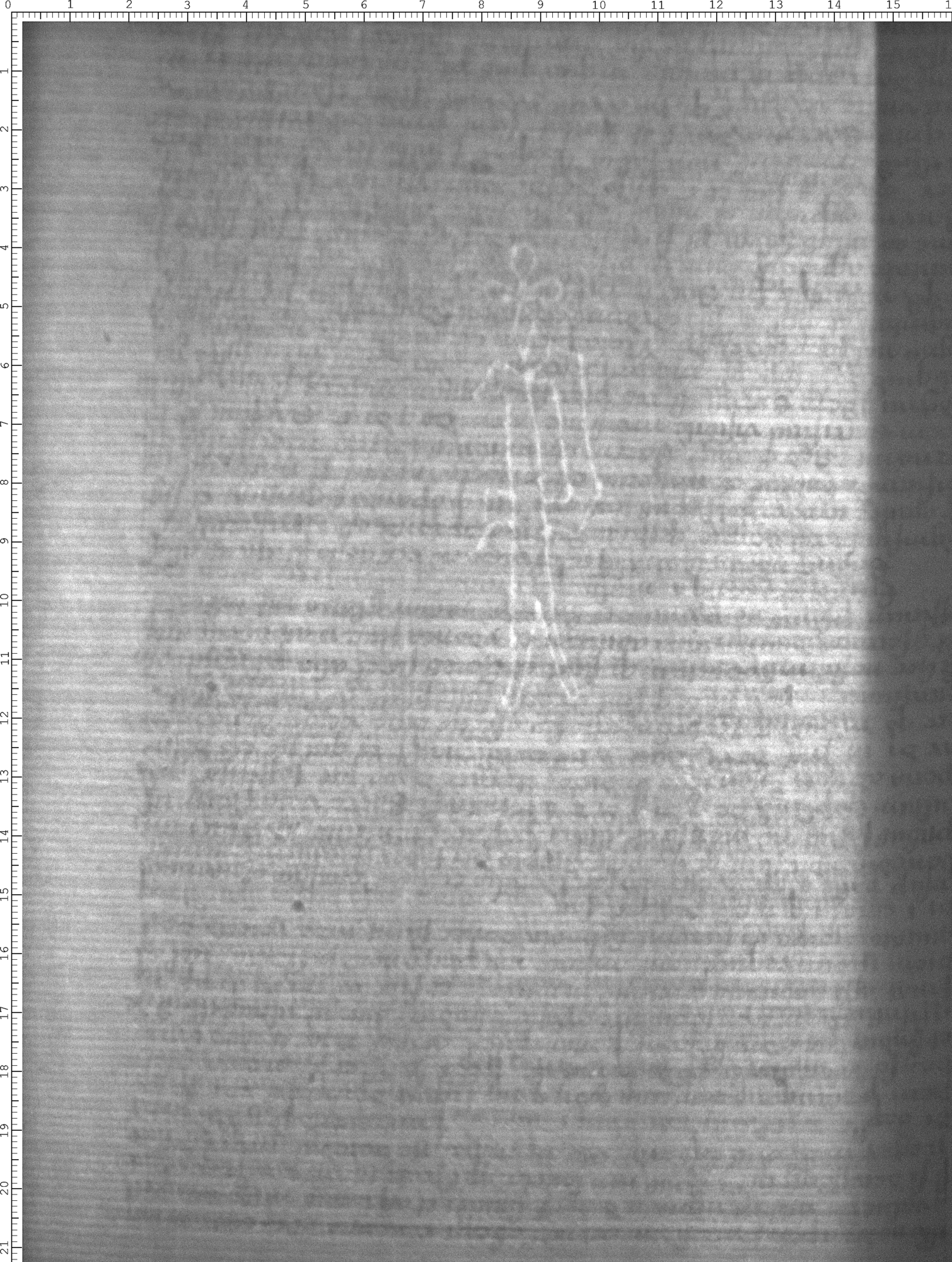 Watermark