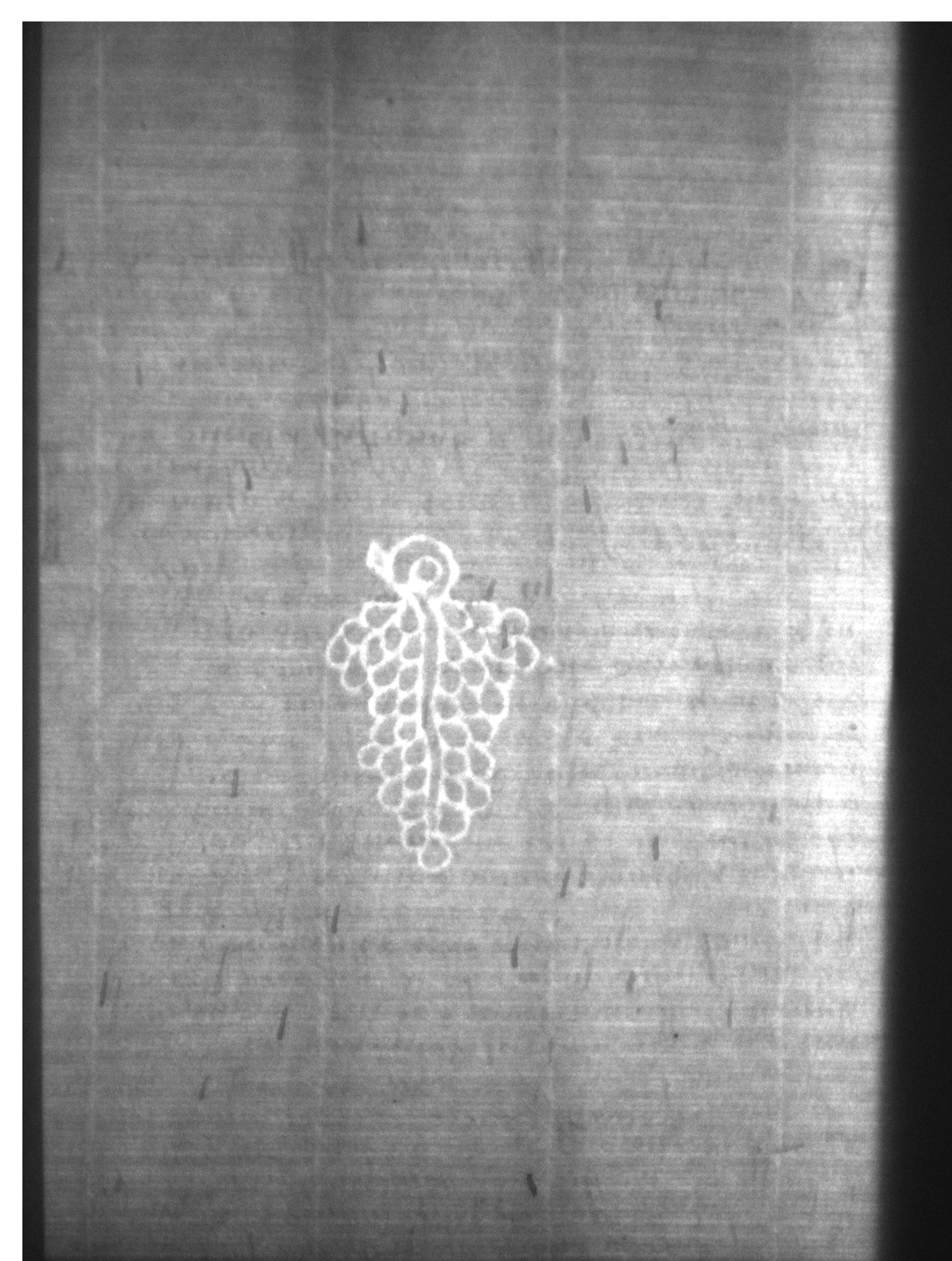 Watermark