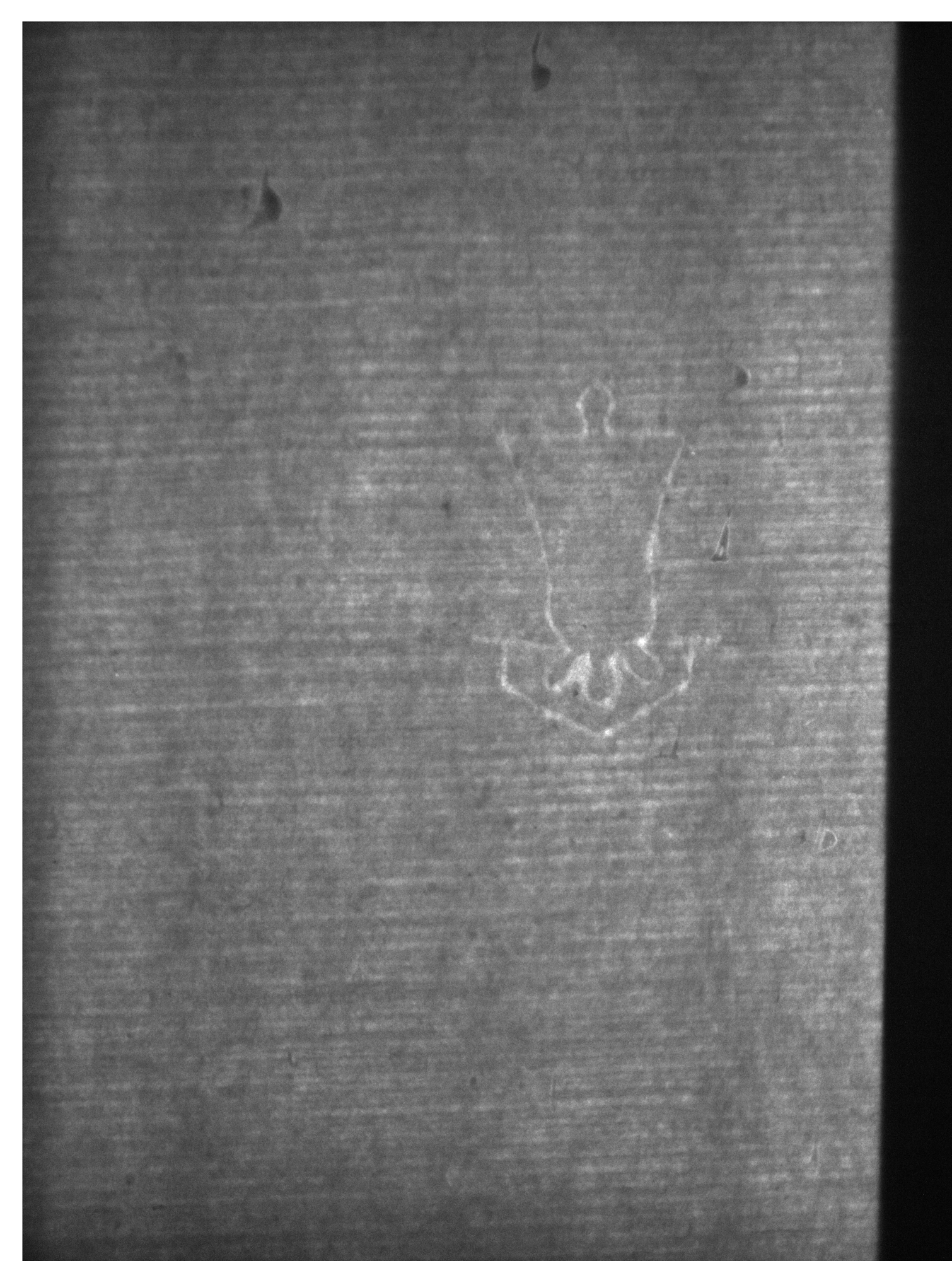 Watermark
