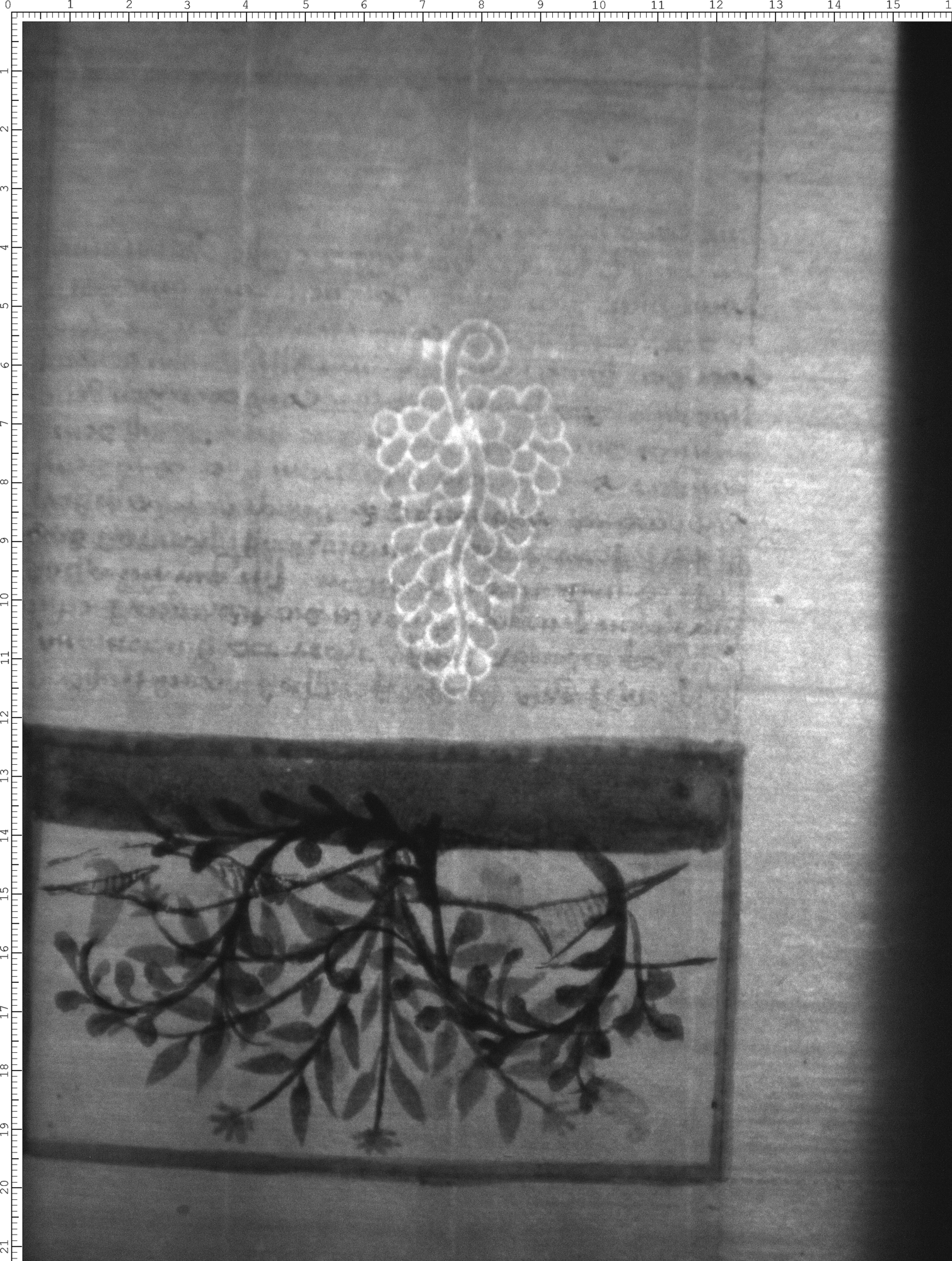 Watermark