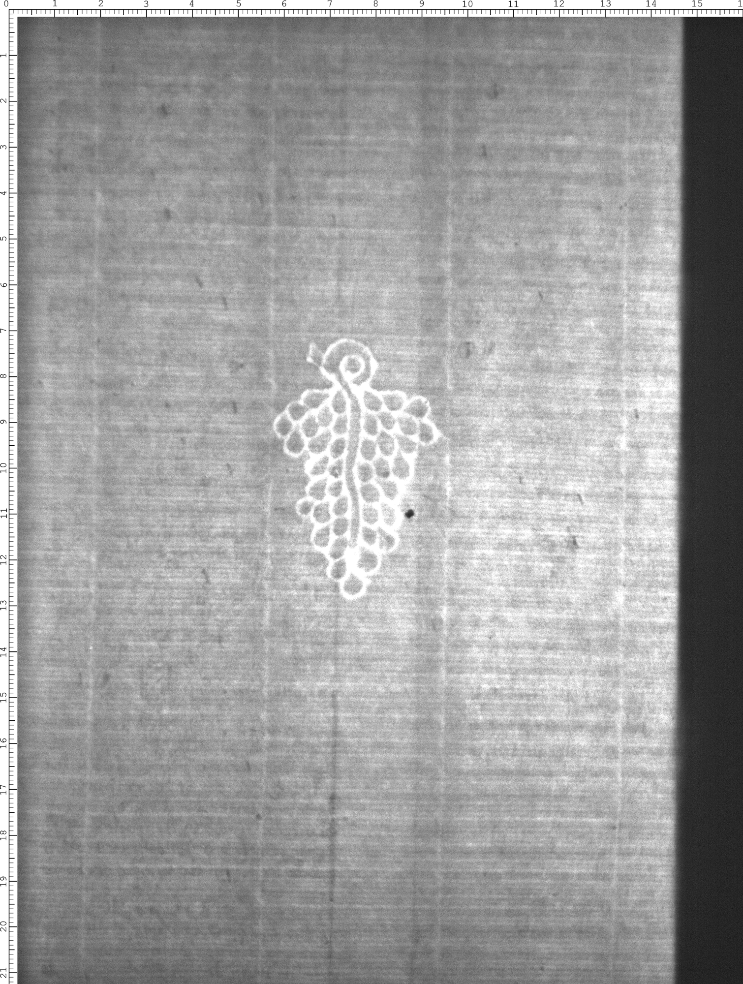 Watermark