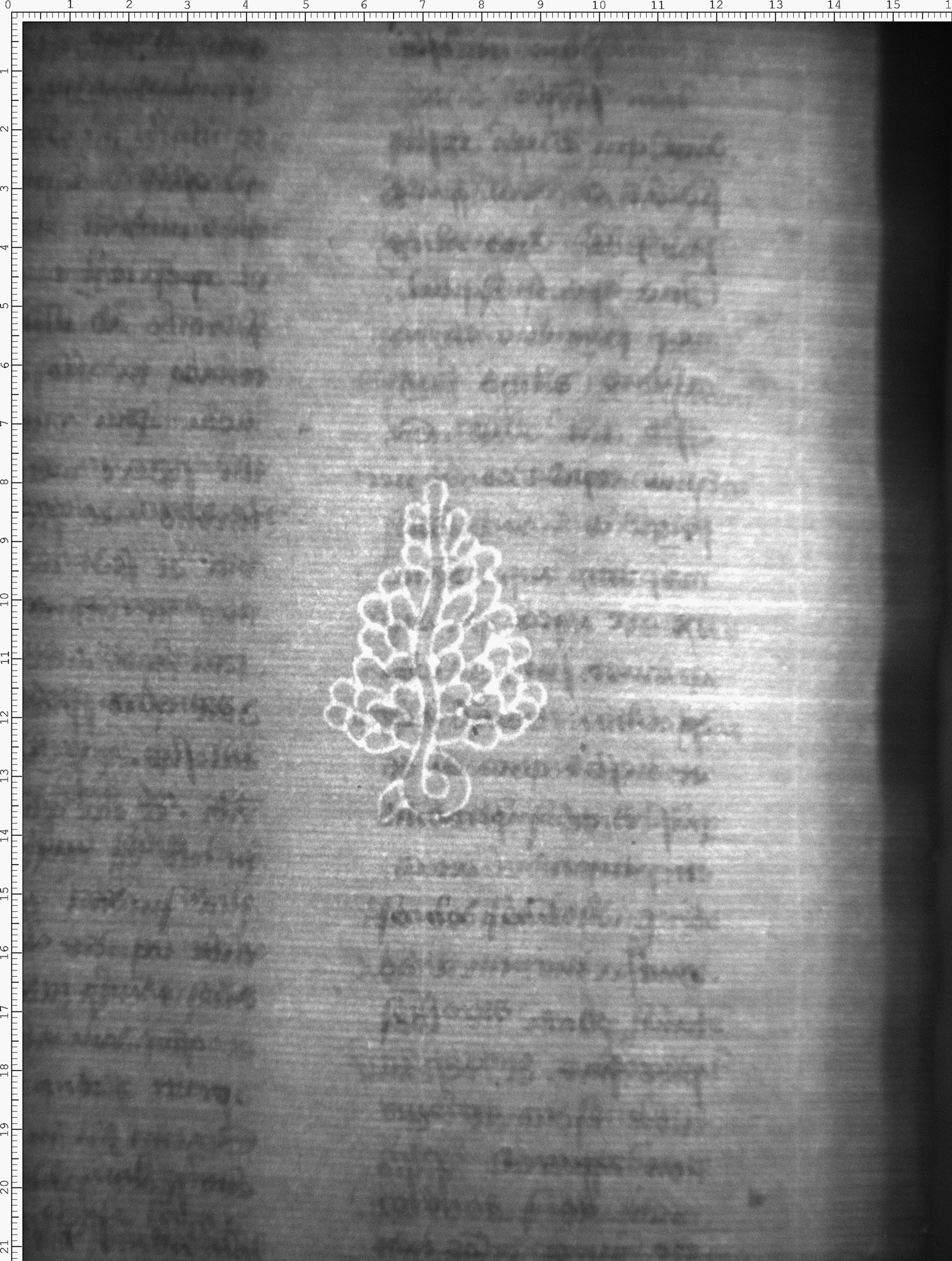 Watermark
