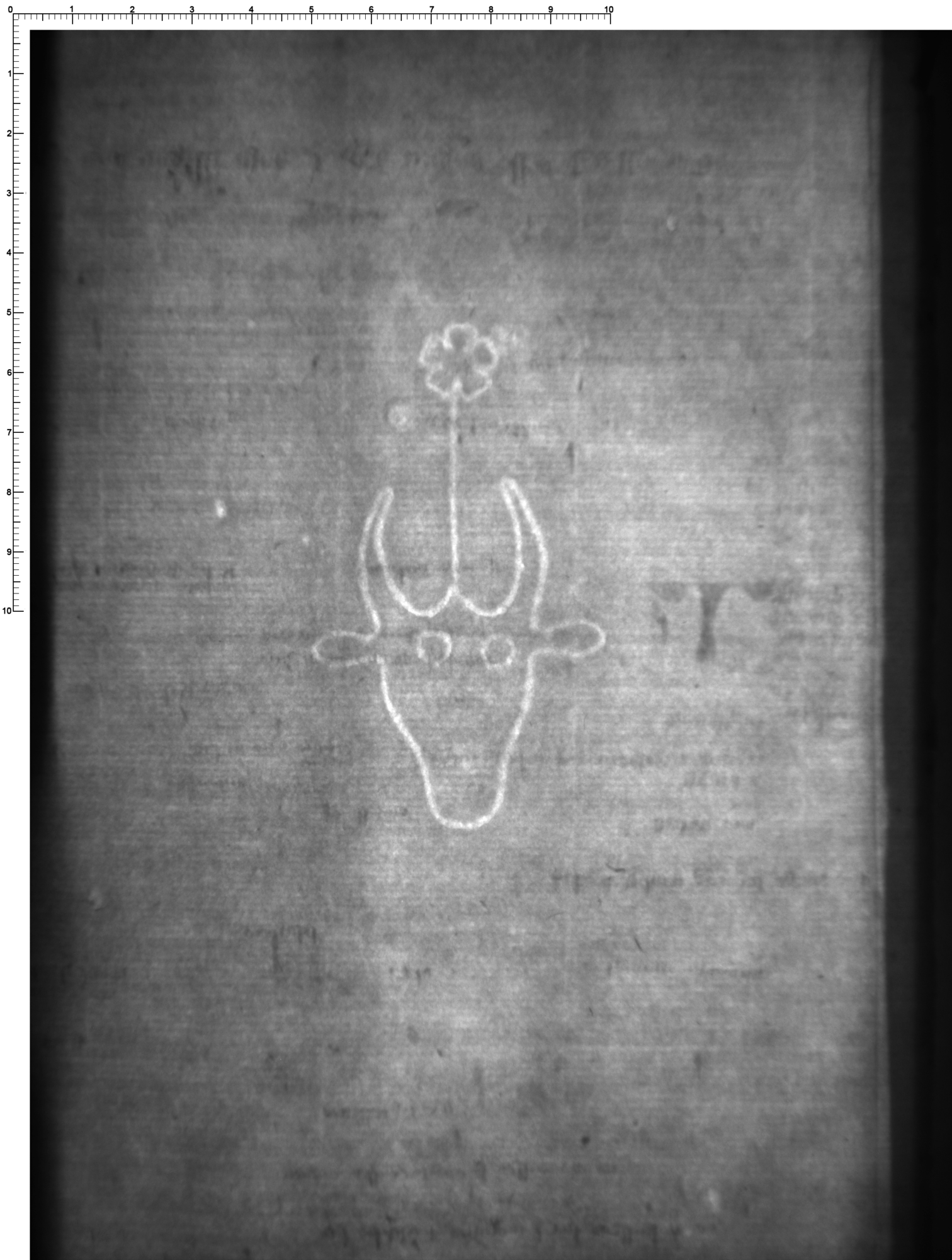 Watermark