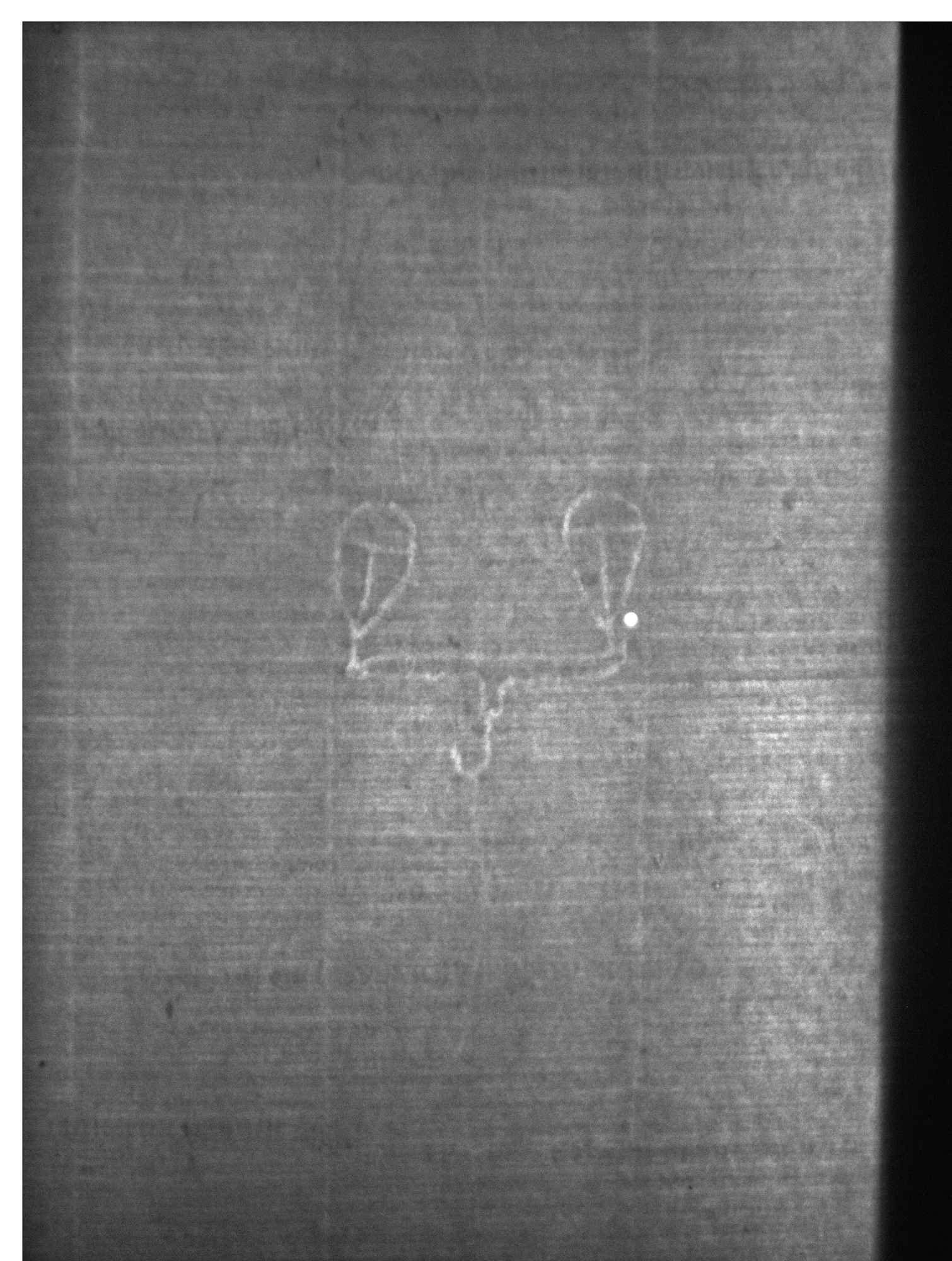 Watermark
