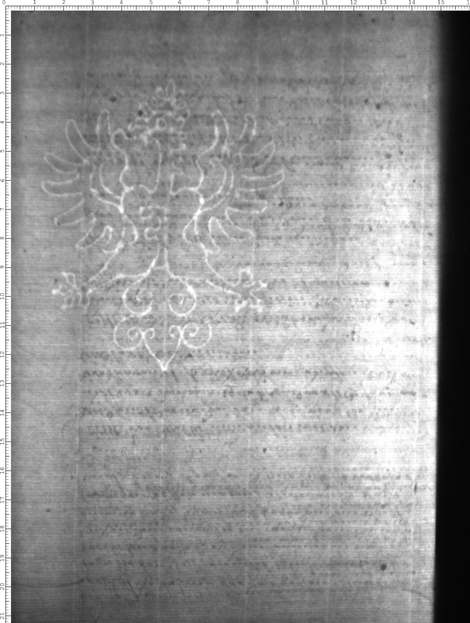 Watermark