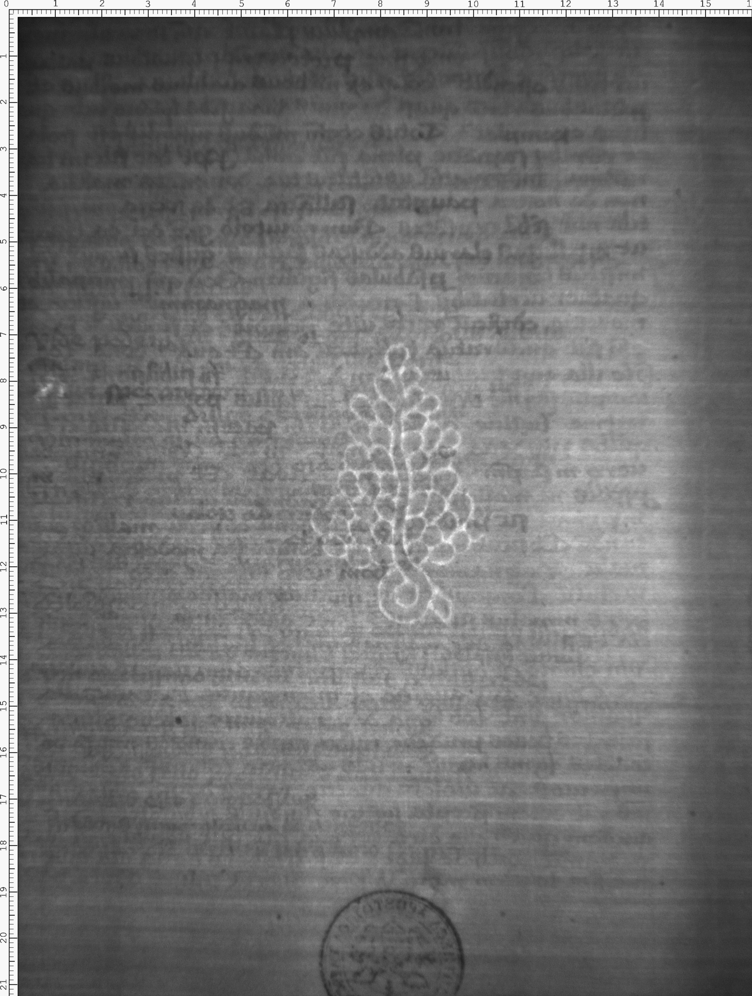 Watermark