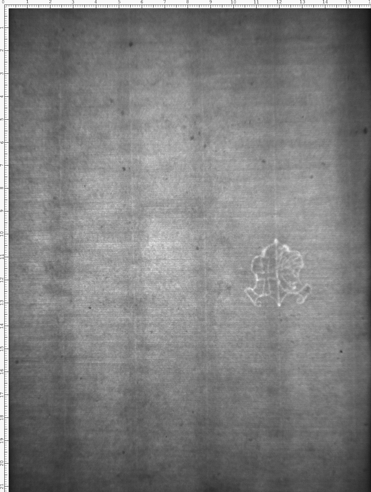 Watermark