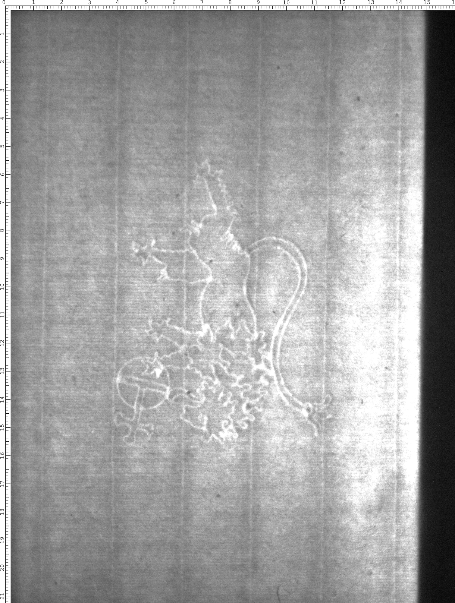 Watermark