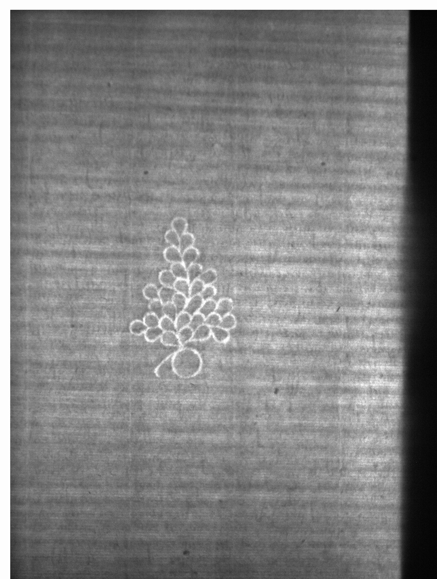 Watermark