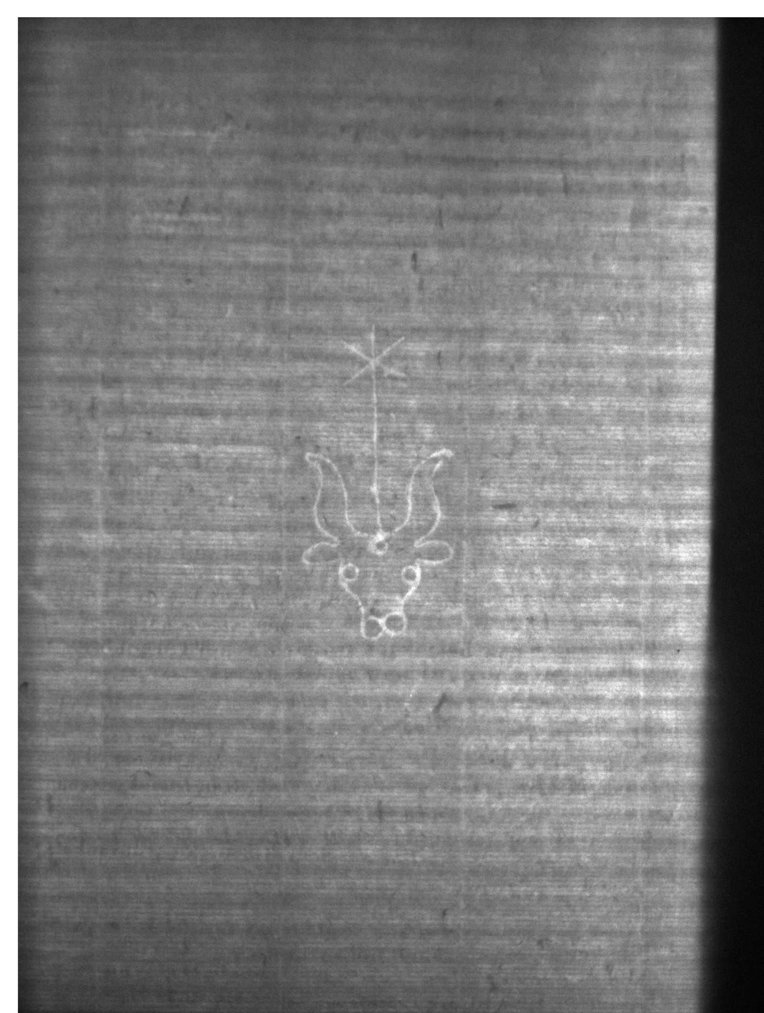 Watermark