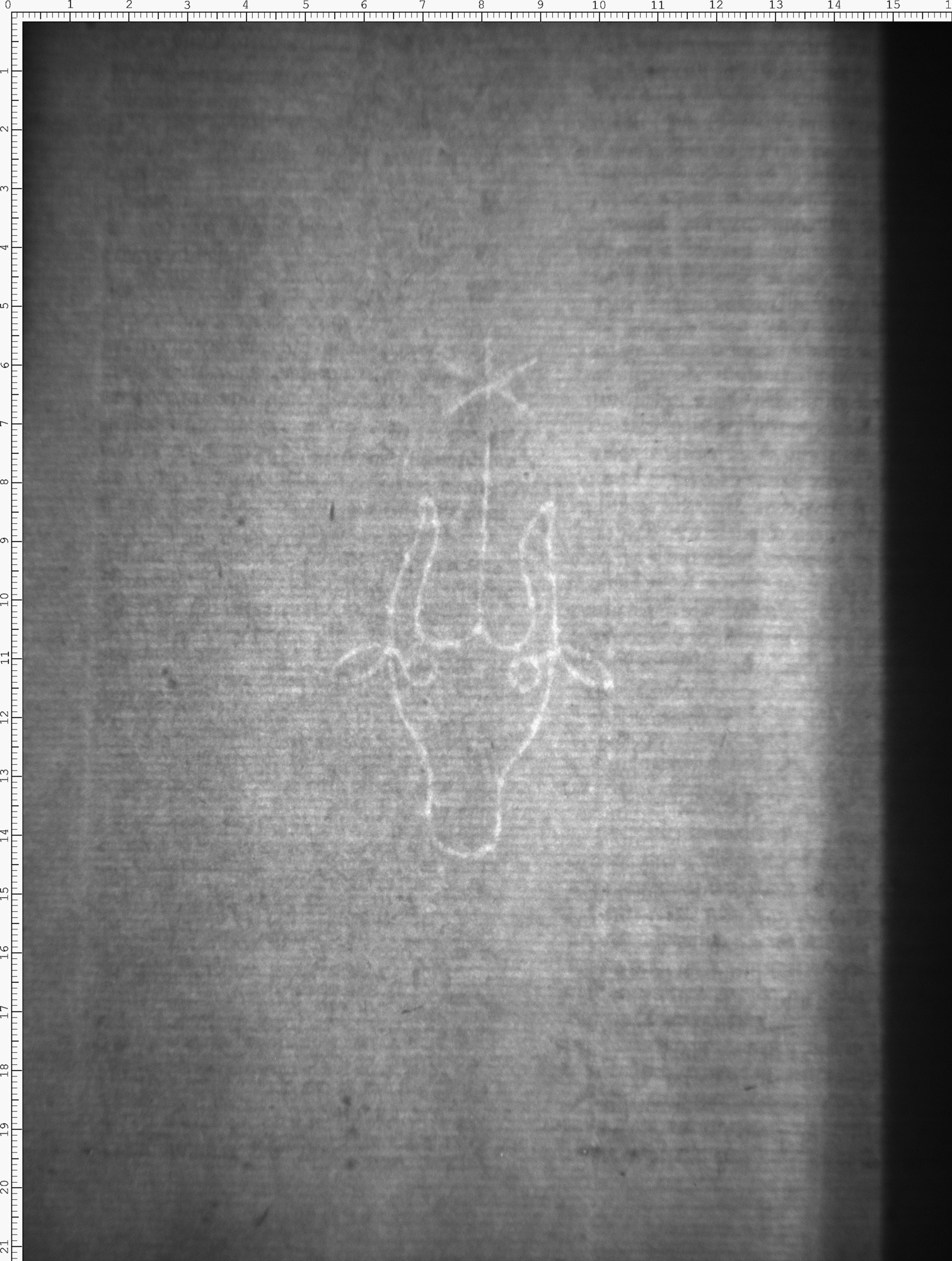 Watermark