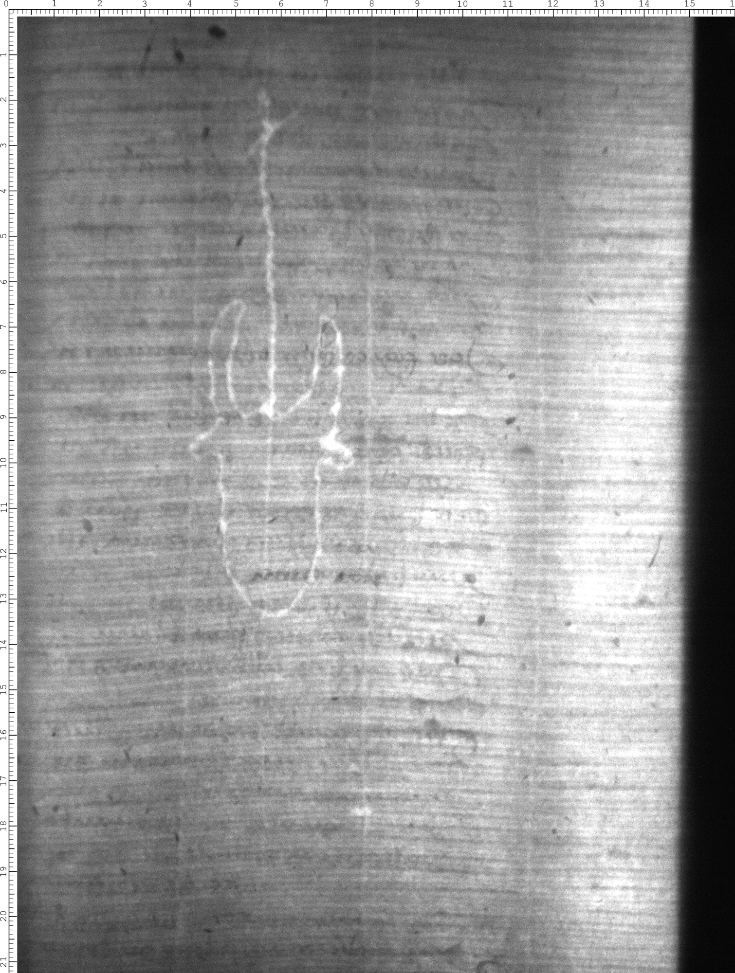Watermark