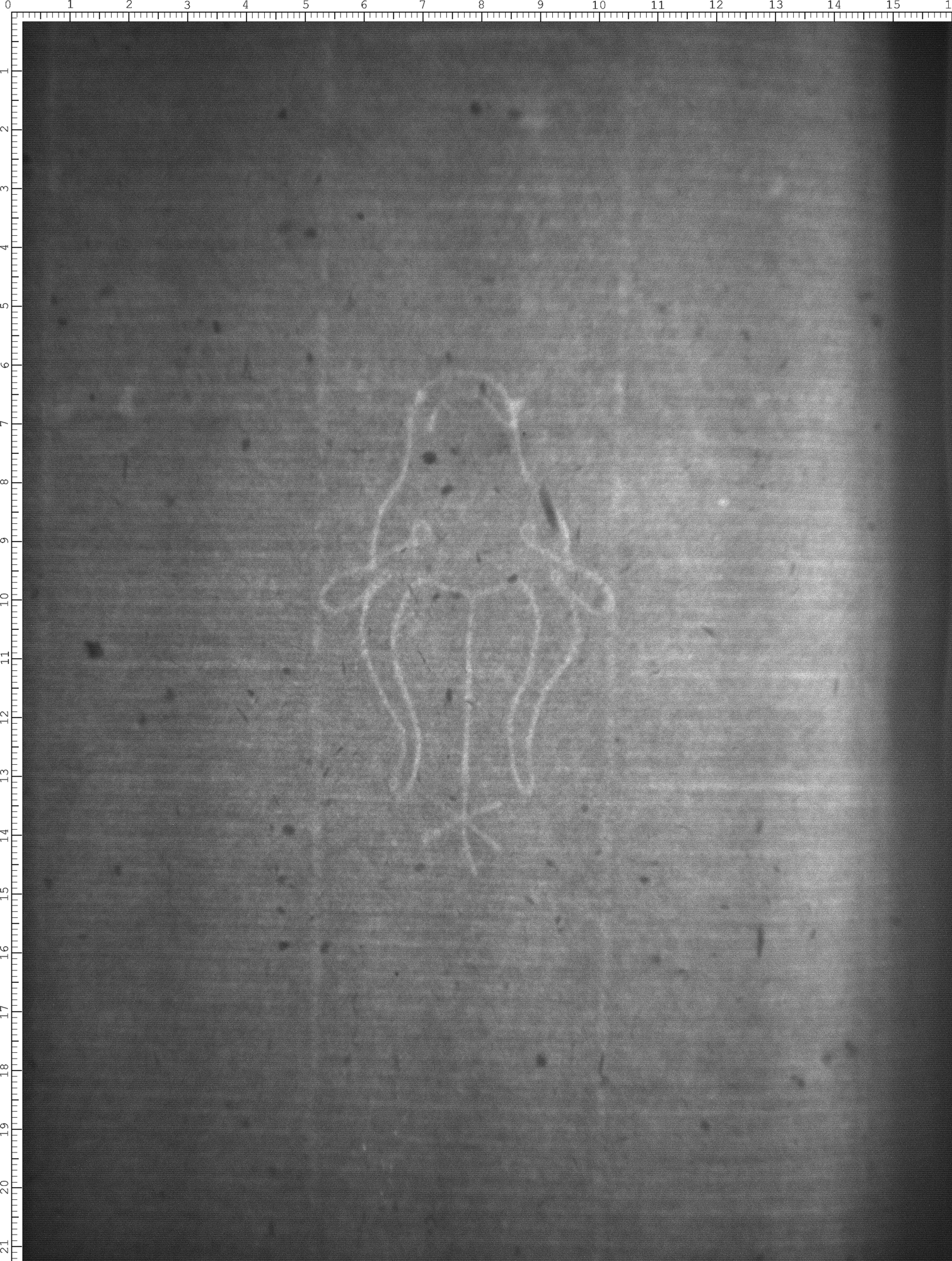 Watermark